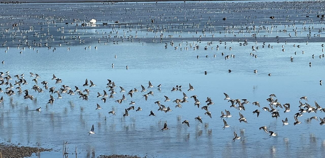 When Life Looks Fine on the Outside but Feels Off on the Inside: Midlife Wake-Up Calls