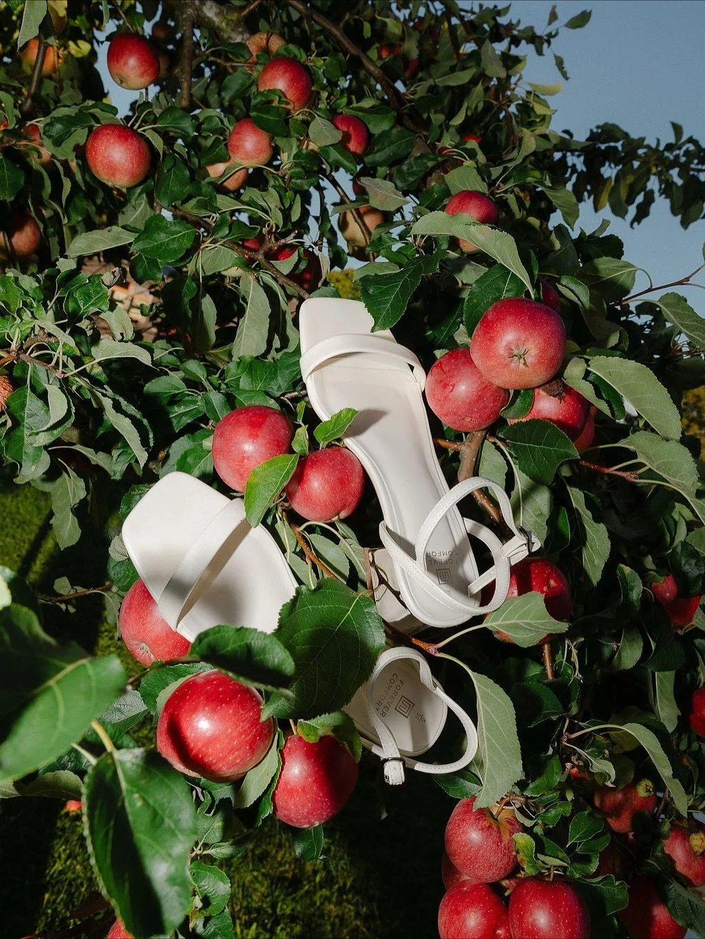Sometimes love doesn&rsquo;t need an explanation ; it&rsquo;s just meant to be.

Venue @fermedutilleul.ch 
Dress @boutiquemariee 
Suit @italiansuits