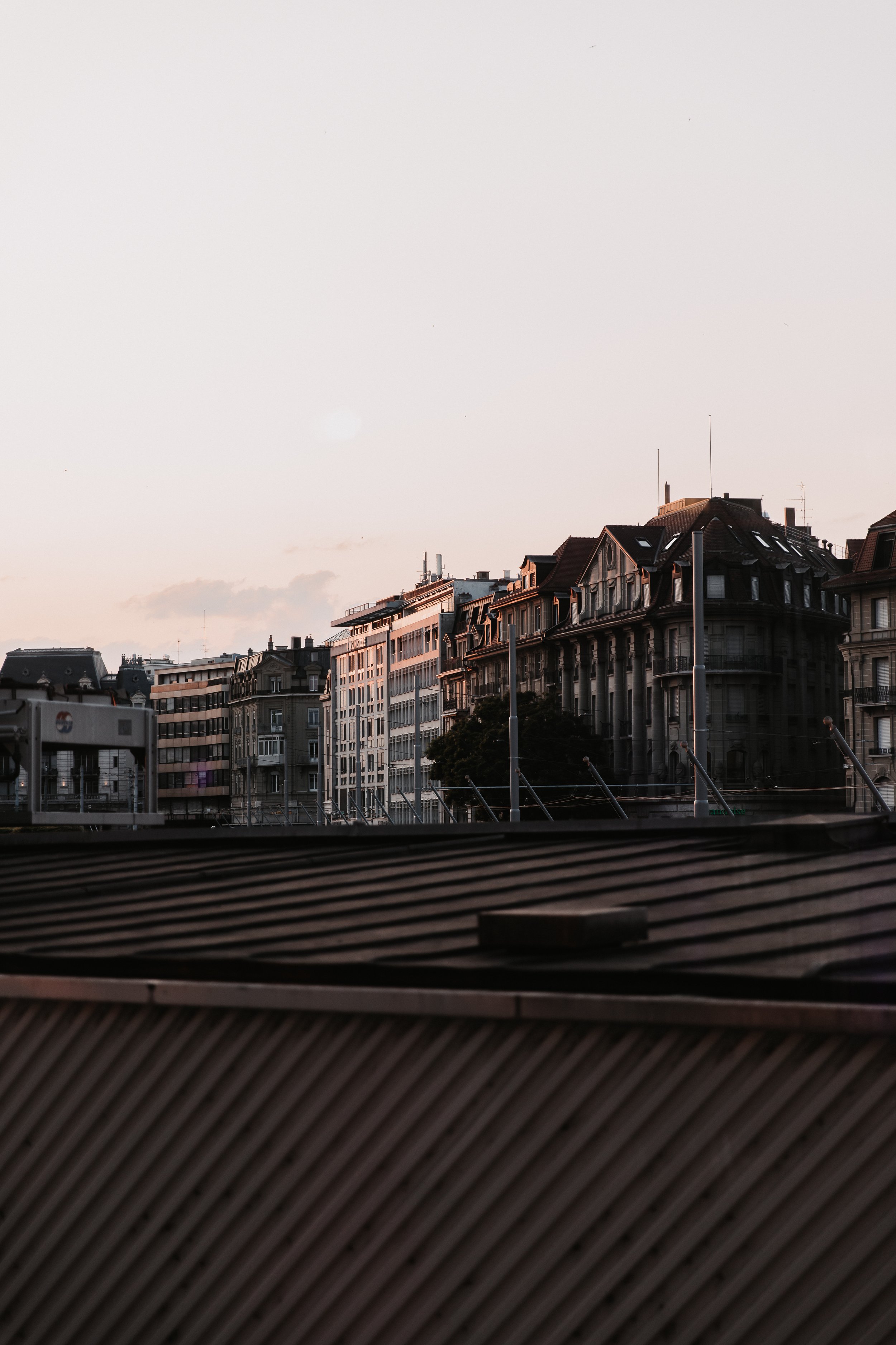 IMG_7031.jpeg