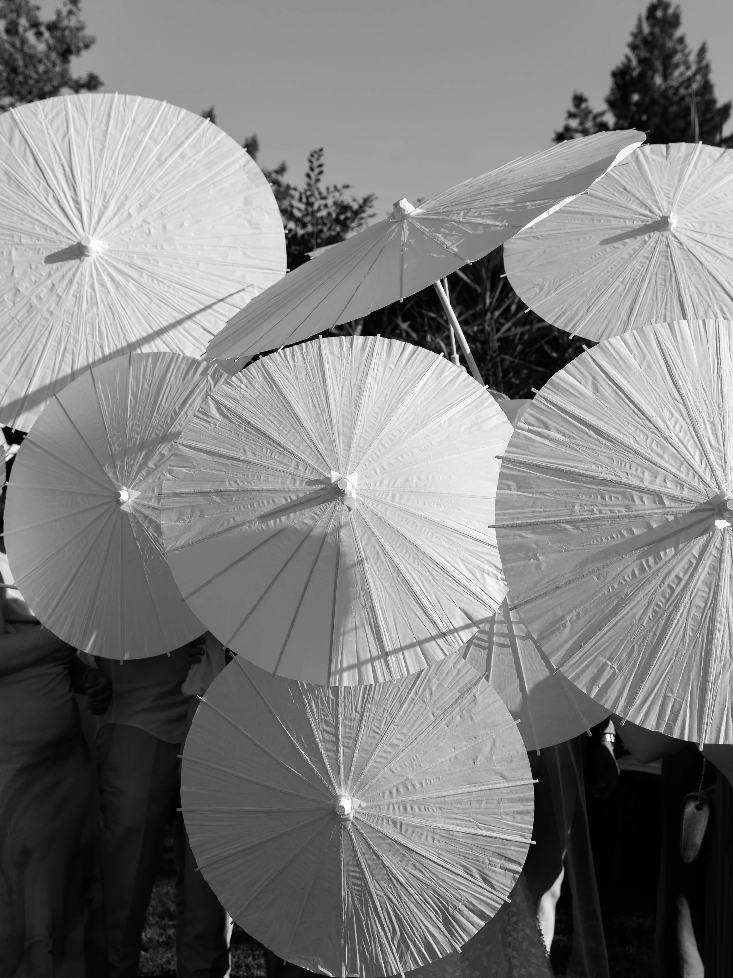 details en noir et blanc de parasols durant les photos de groupe d'un mariage