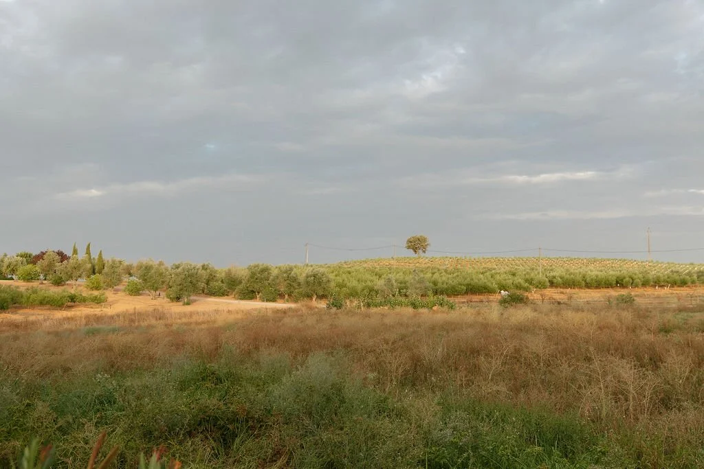 paysage Portugal cérémonie mariage
