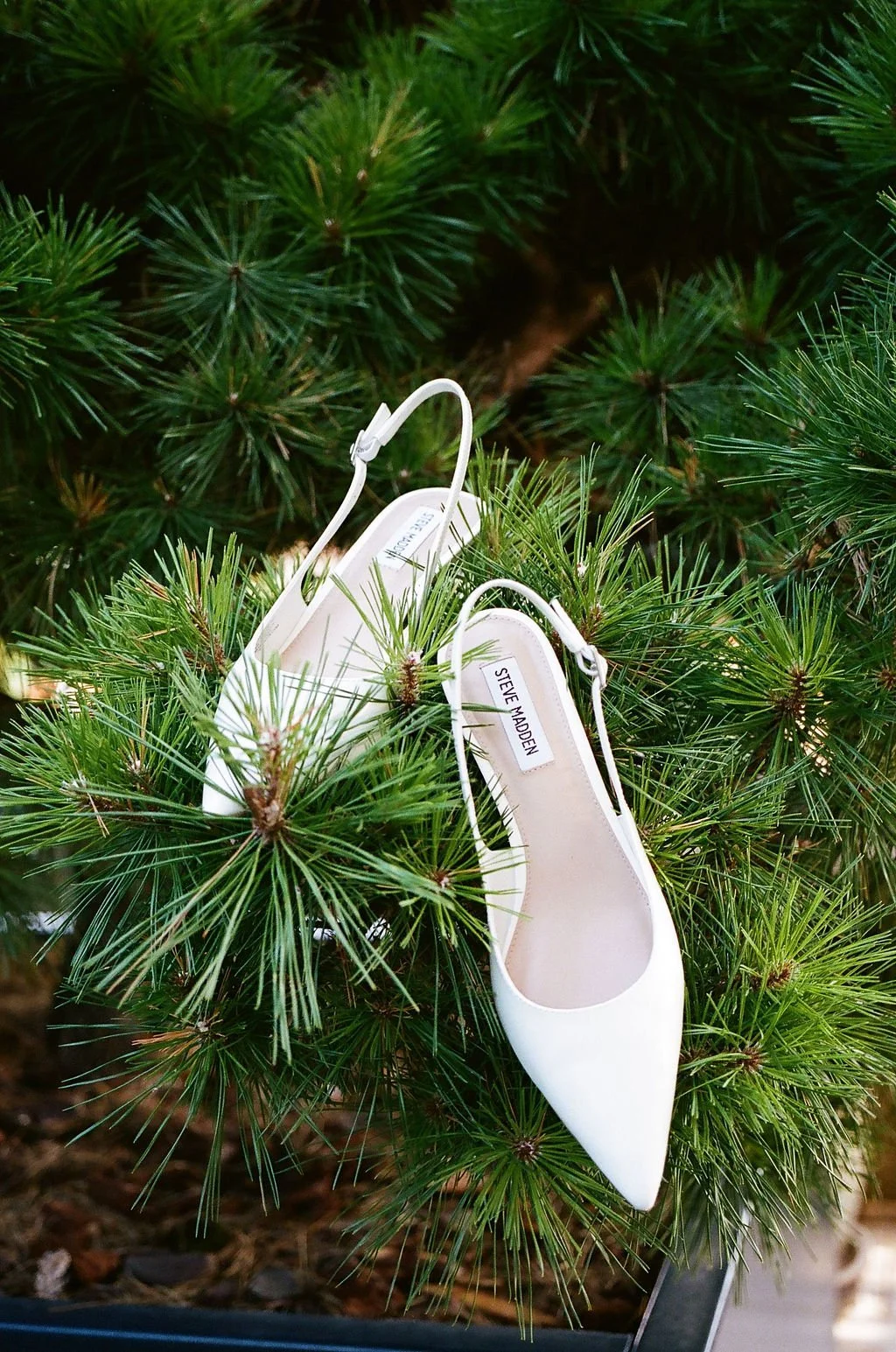 photo de chaussure dans un arbre détail mariage