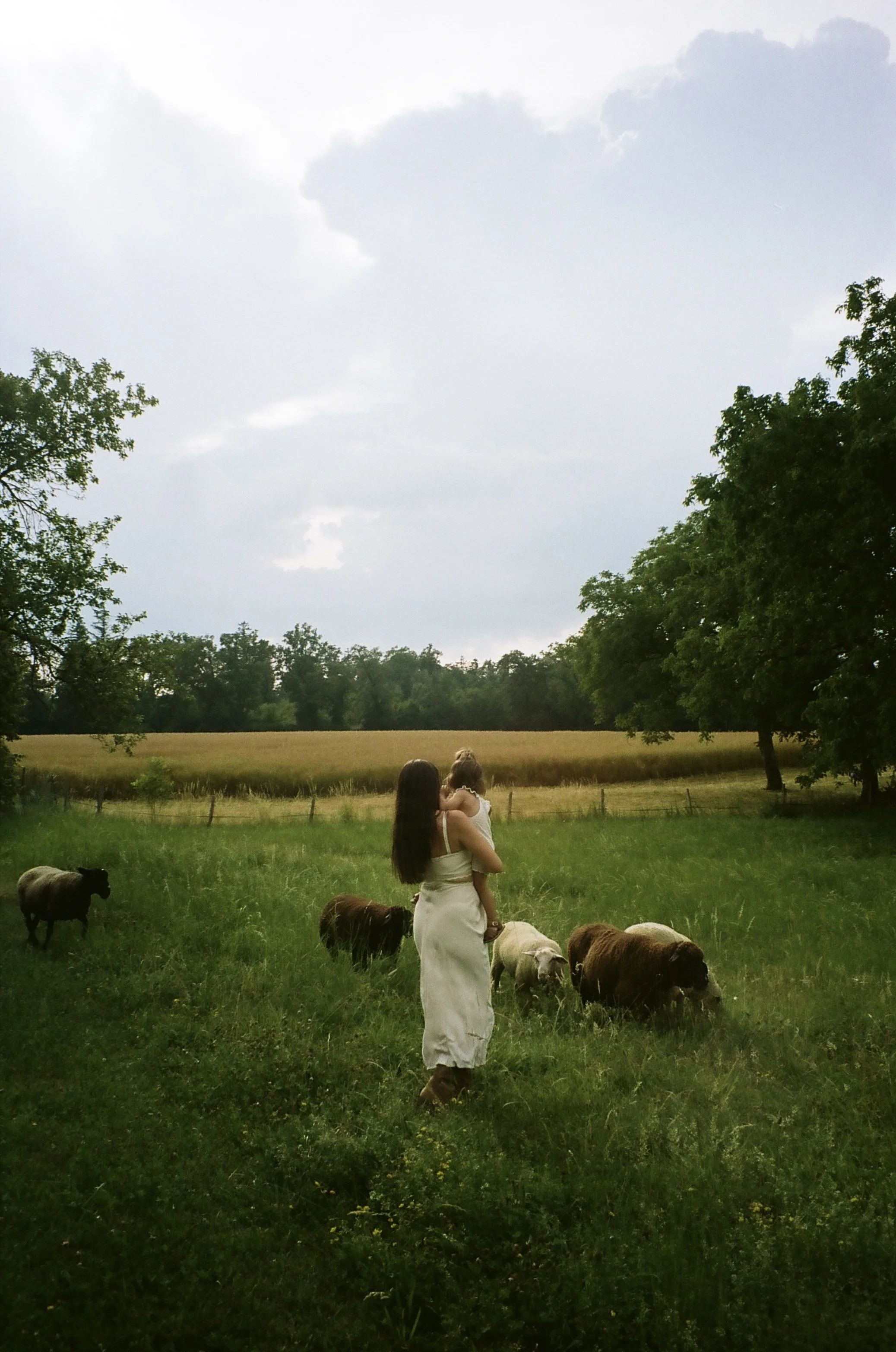 photographie mère enfant dans un champ avec des moutons