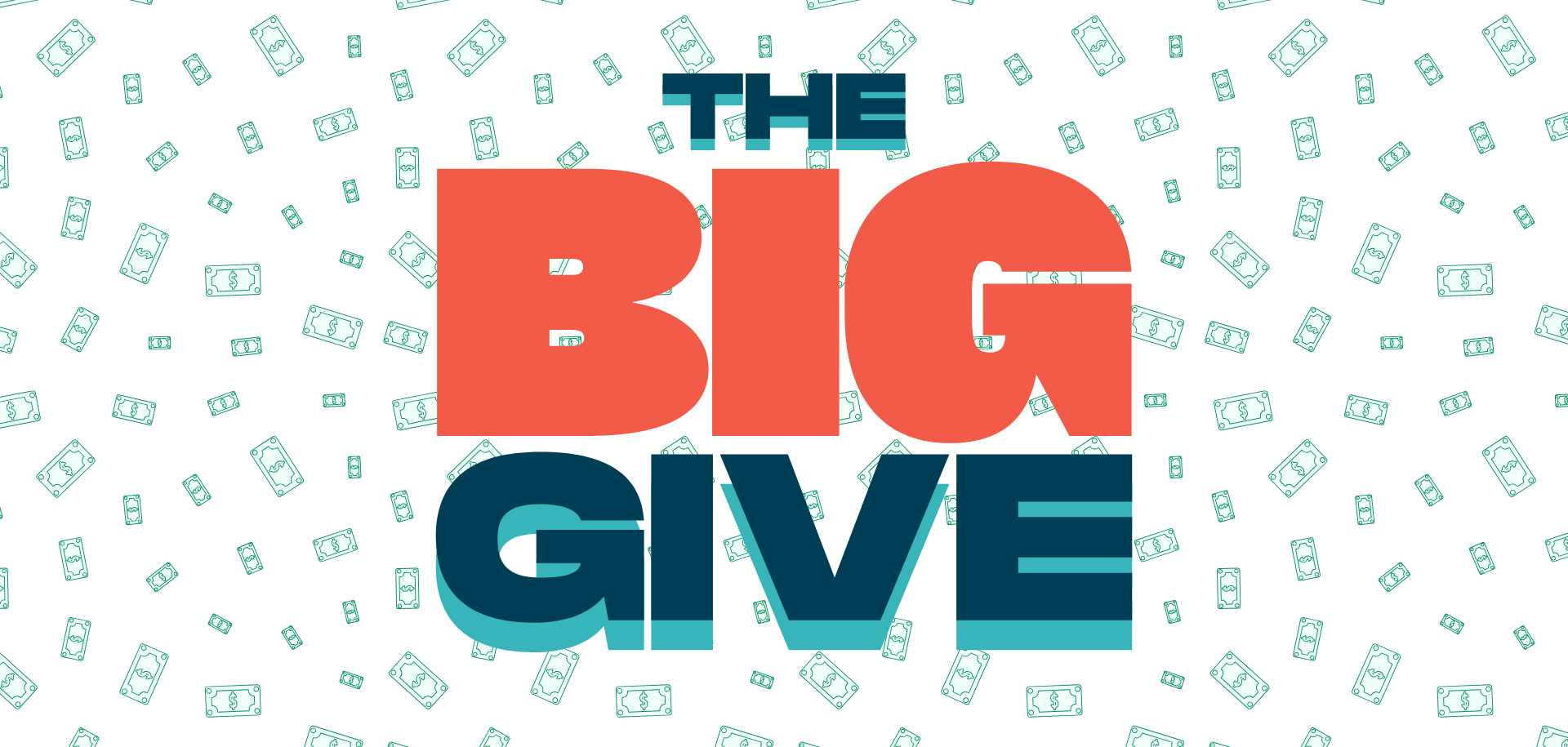 The Big Give Fundraiser