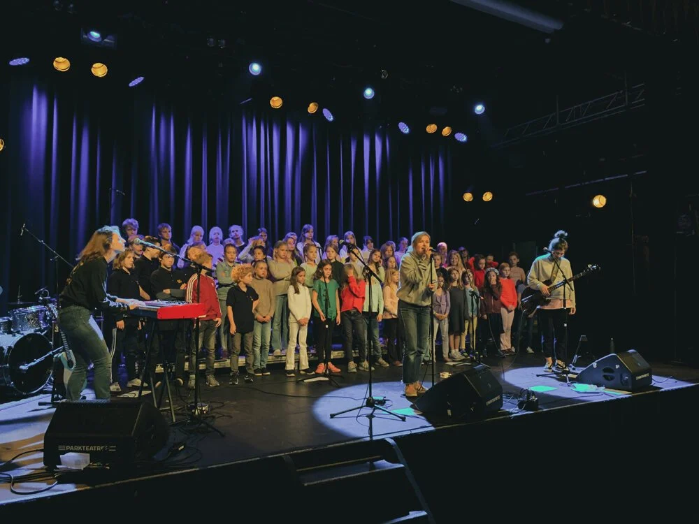 drømmekonsert IMG_3072.jpeg