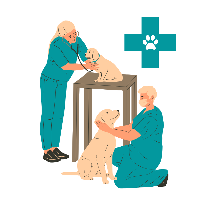 Vet Exam No Background.png