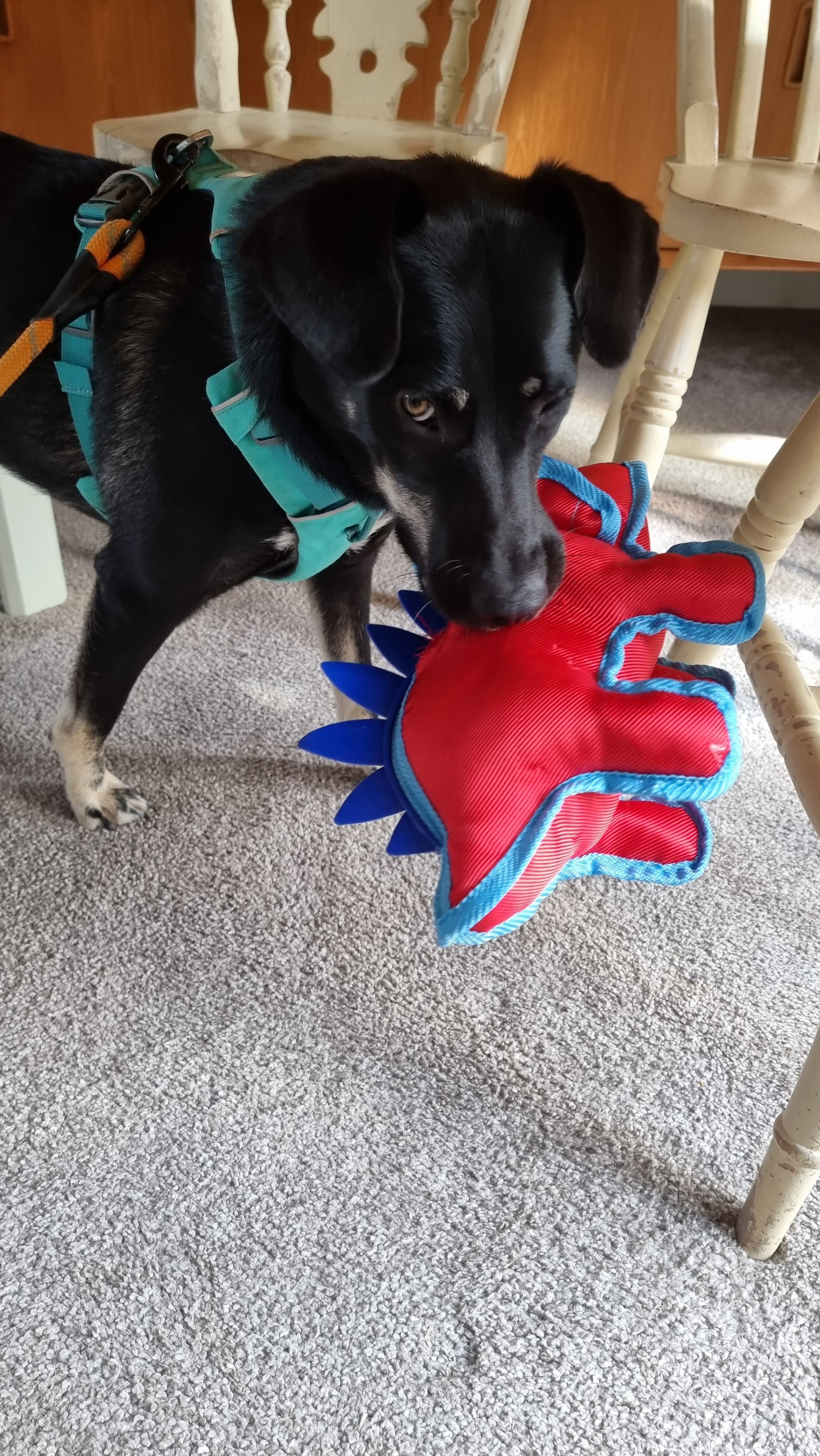 20220910_121811.jpg