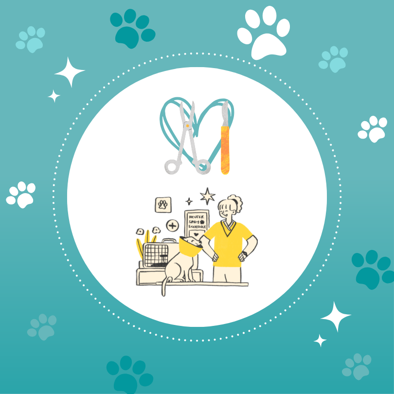 Spay and Neuter Background.png