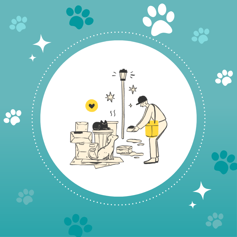 Feed a Community Dog Background.png
