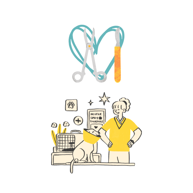Spay and Neuter No Background.png