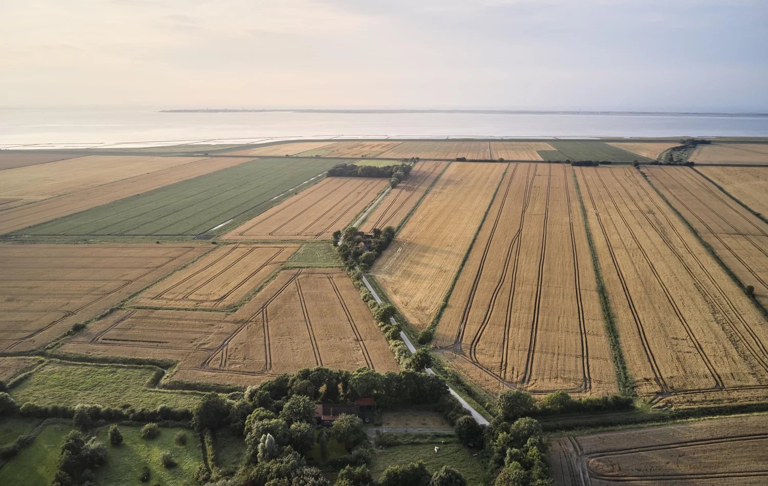 Gulffhaus am Mandepolder — photo 3