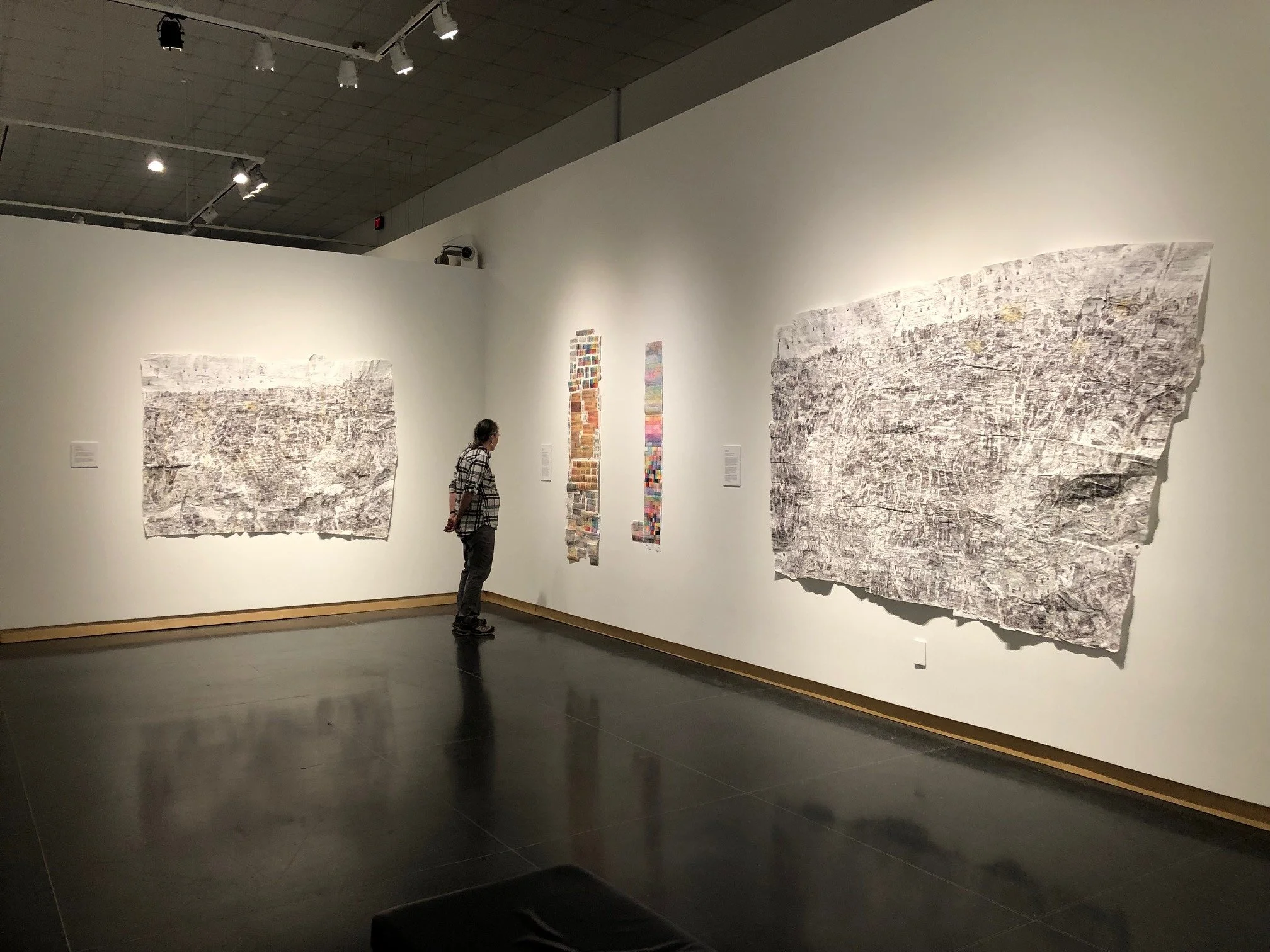 Courttney Cooper's corner of the gallery at the Wynn Newhouse exhibition at @suartmuseum  Possible Worlds: 20 Years of the Wynn Newhouse Awards curated by @fuller315 features 11 contemporary artists, including Courttney Cooper, who have all been reci