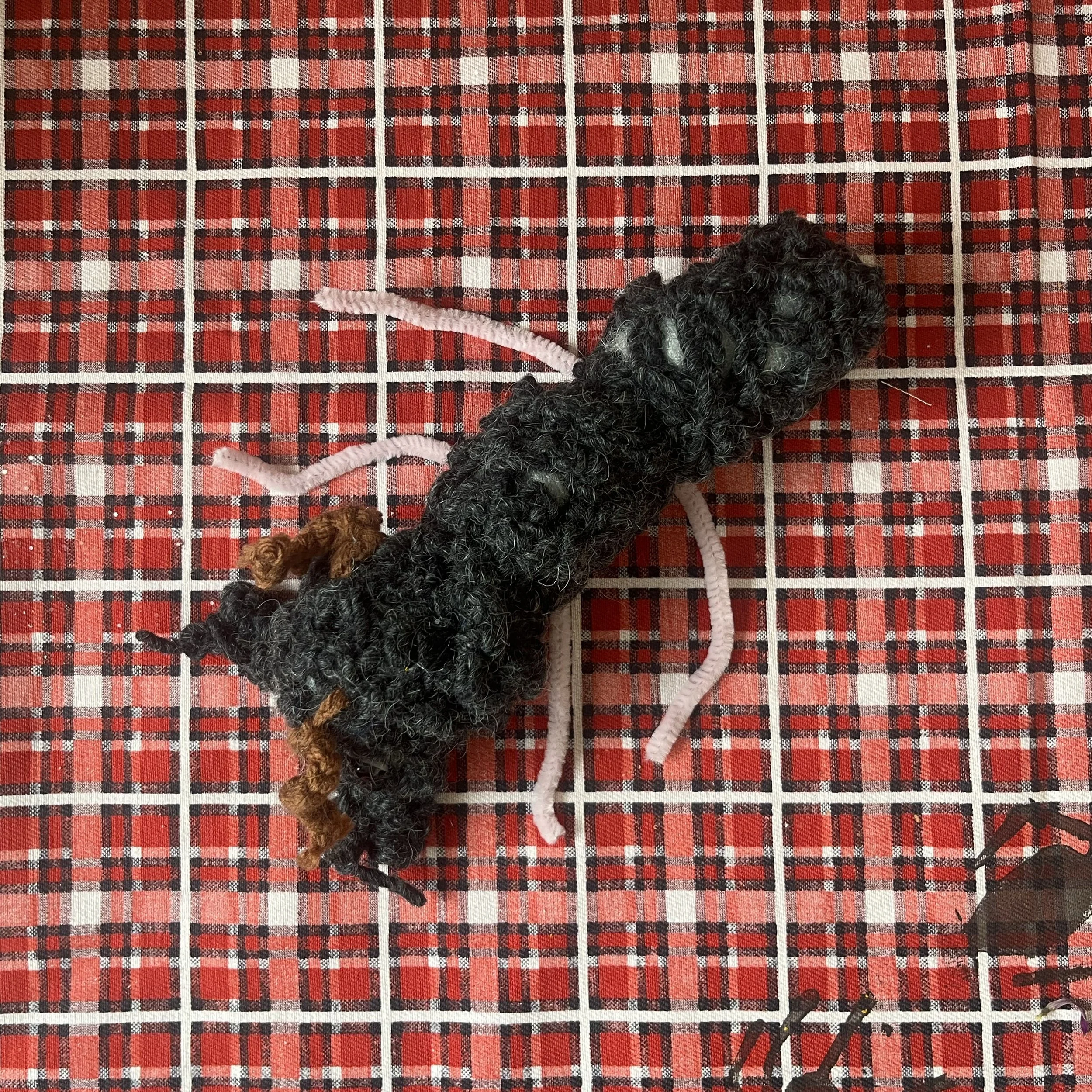 dooley ant 1.jpg