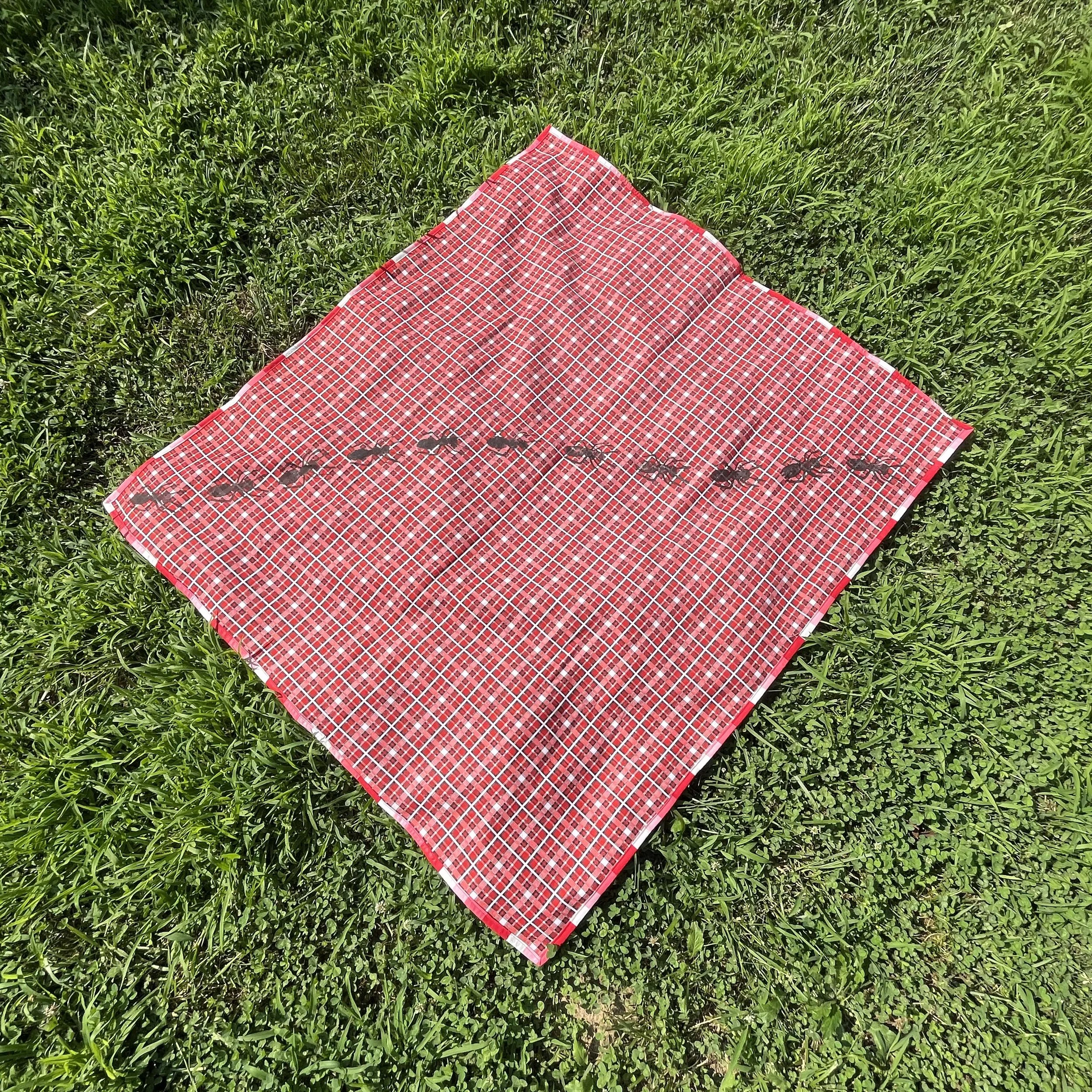 picnic blanket.jpg