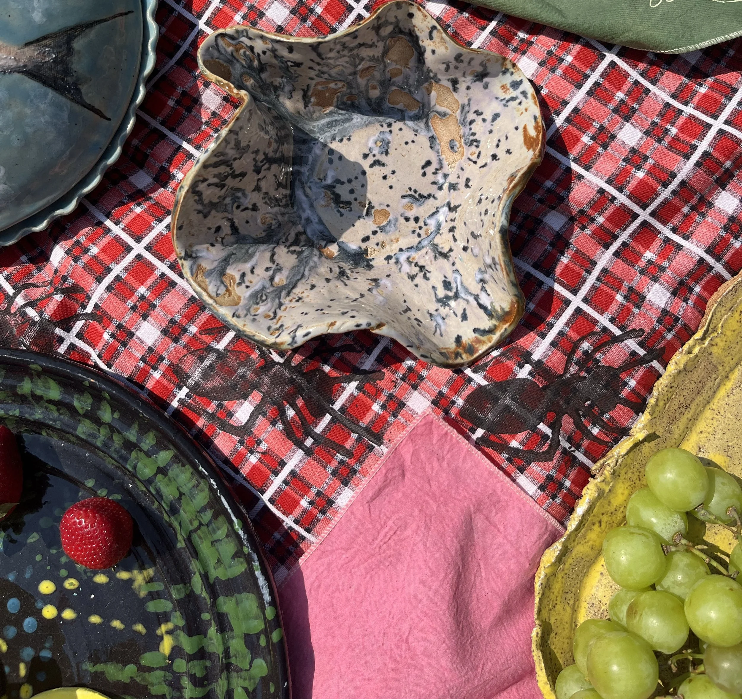 picnic blanket 3.jpg