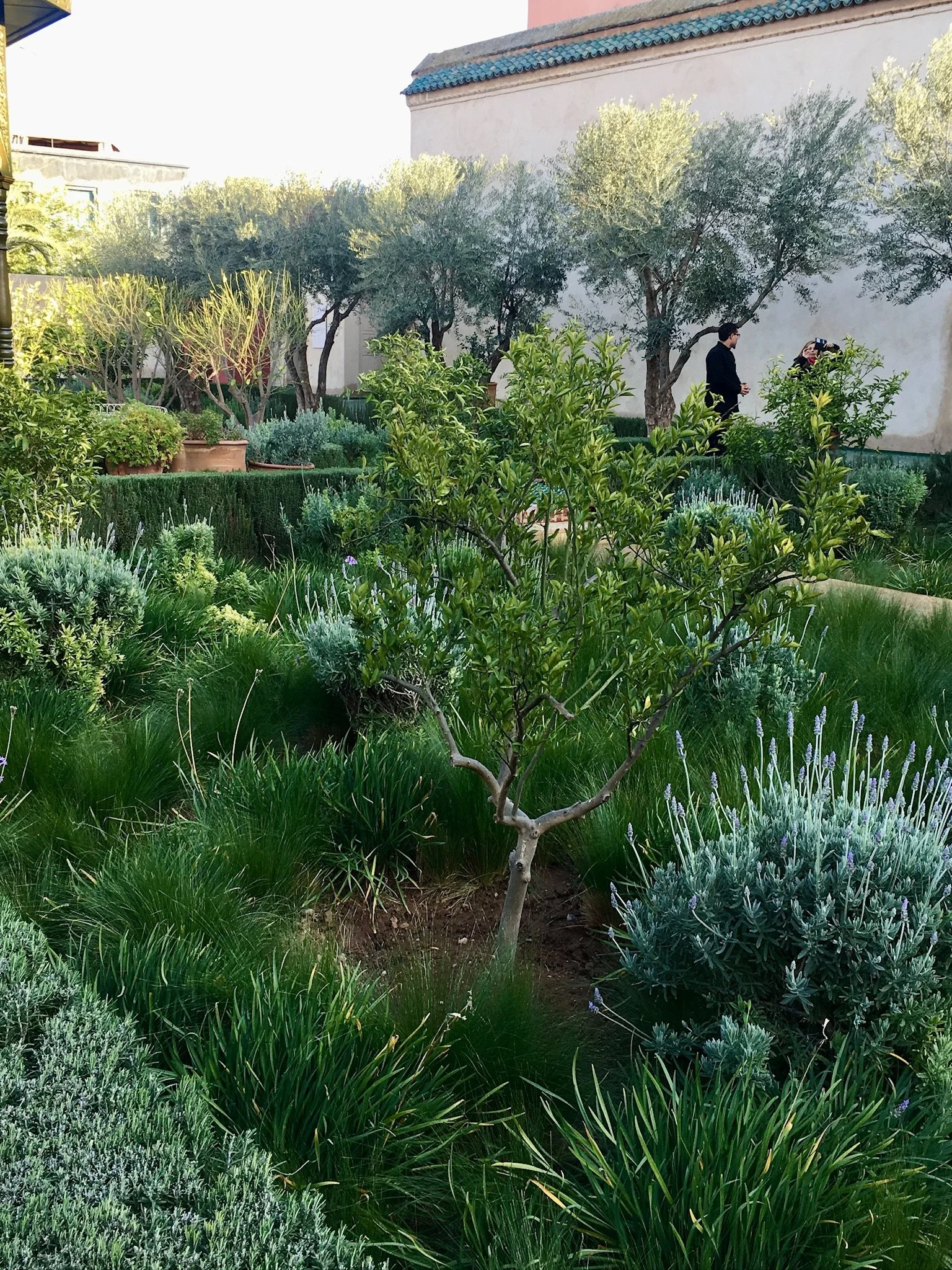 Le Jardin Secret Marrakech Private Garden .jpg