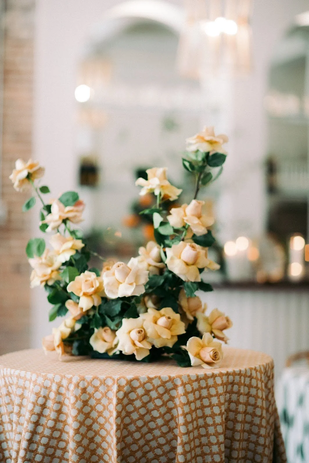 Elia2023_ErinL.TaylorPhotography-55 (1).jpg