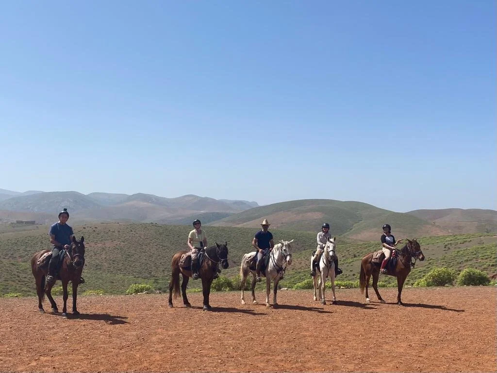 WhatsApp Image 2023-03-21 at 00.00.16.jpeg