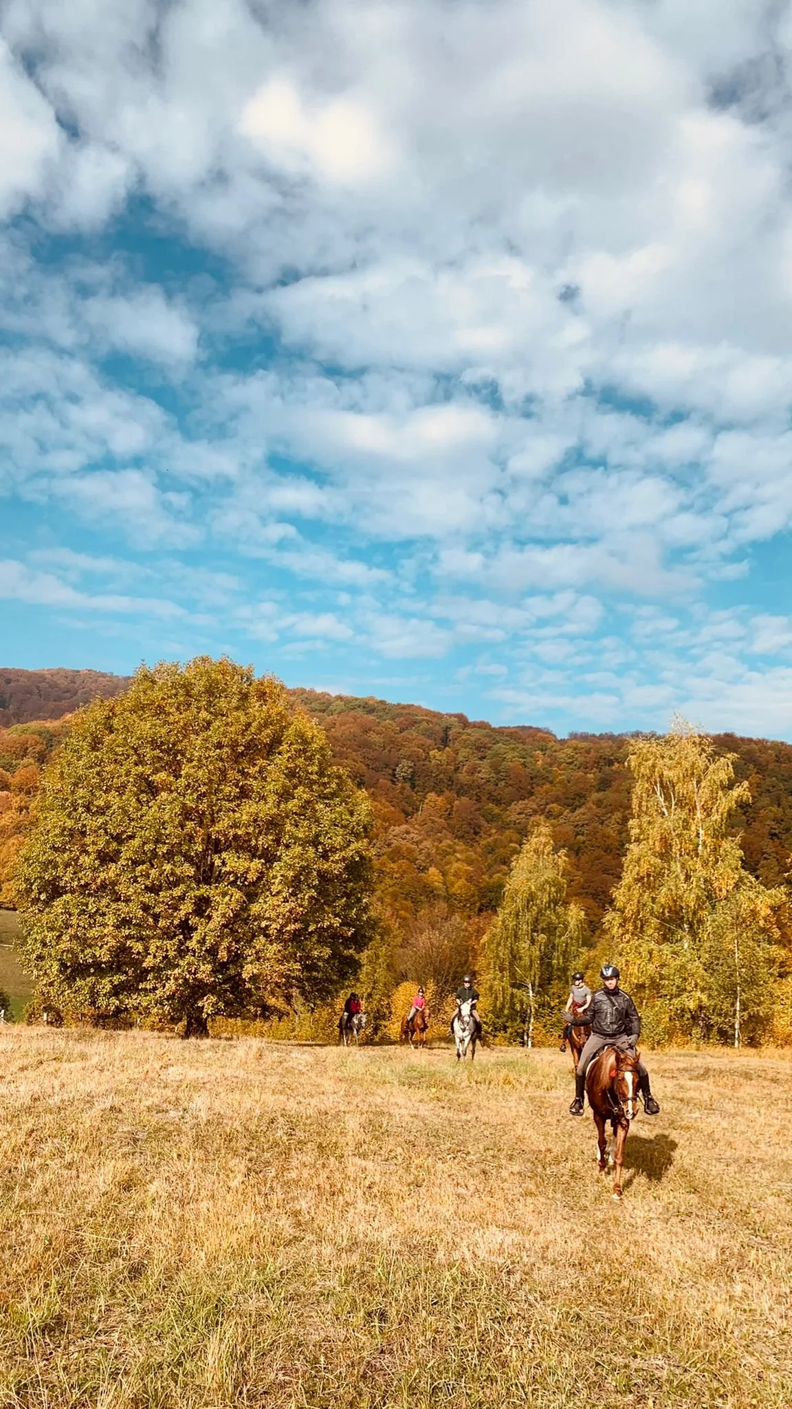 Photo courtesy of Equus Silvania