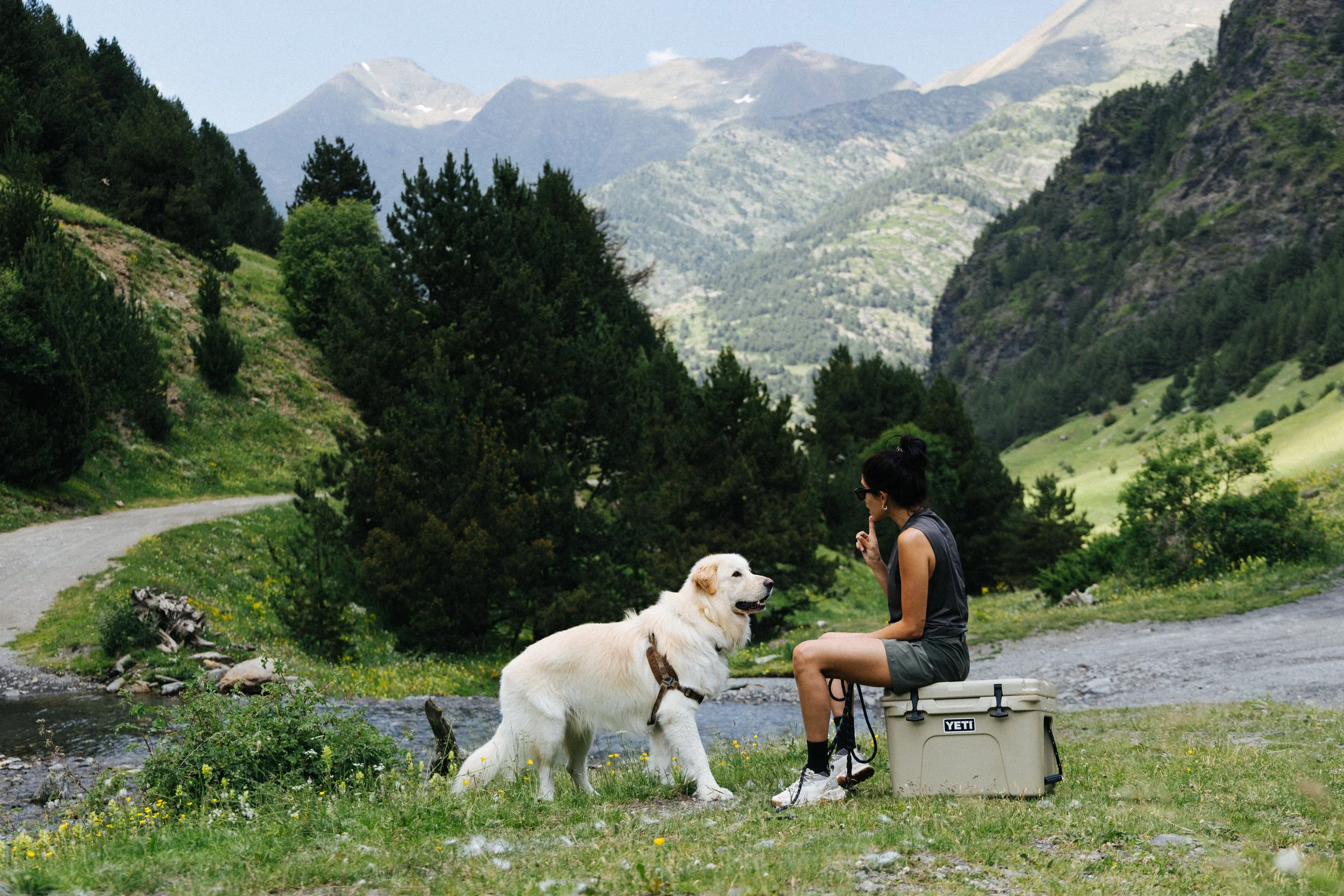 20260621_RutaPirineus_8C6A5949-1.jpg