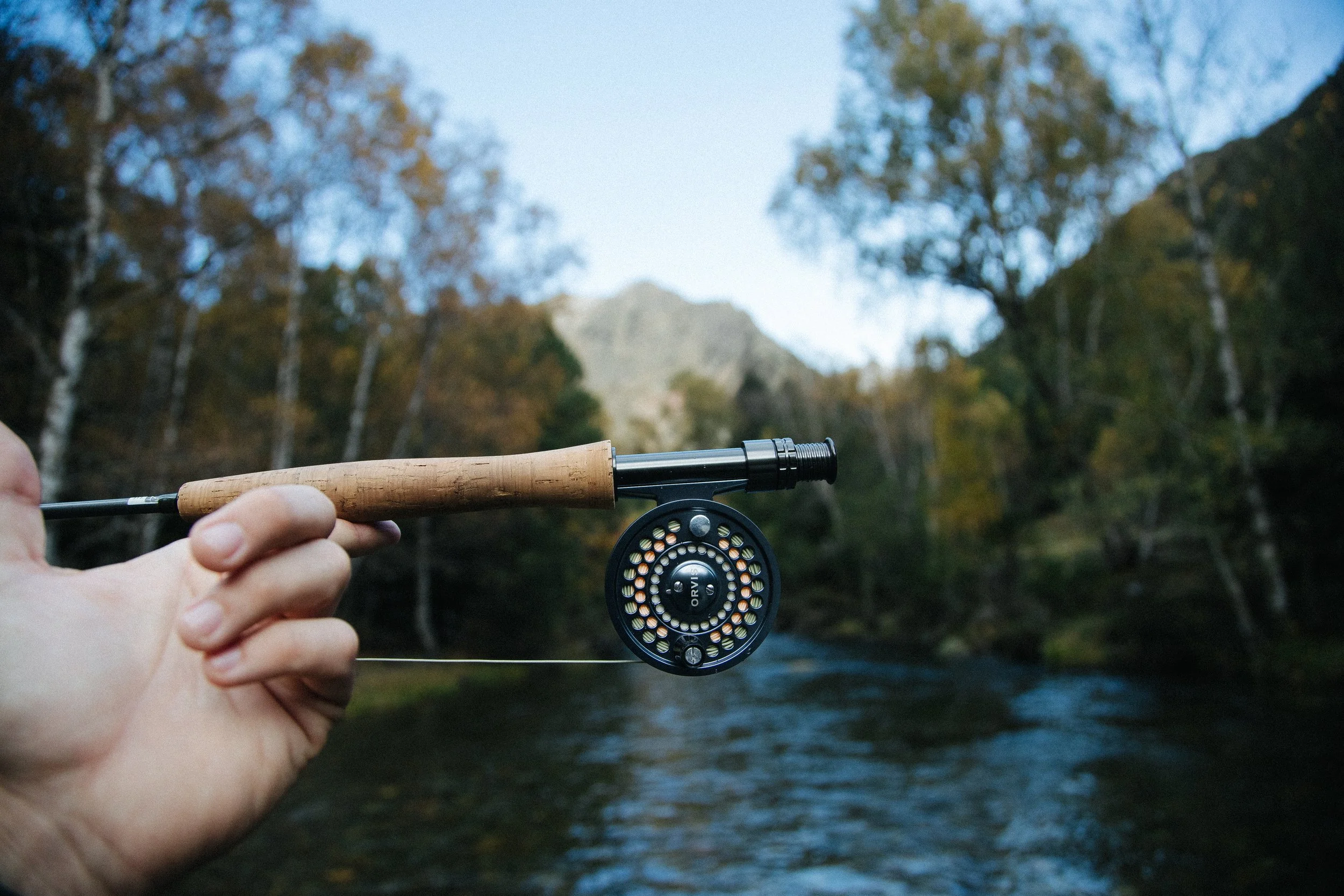 Person holding a fishing rod over a river with trees and mountains in the background.