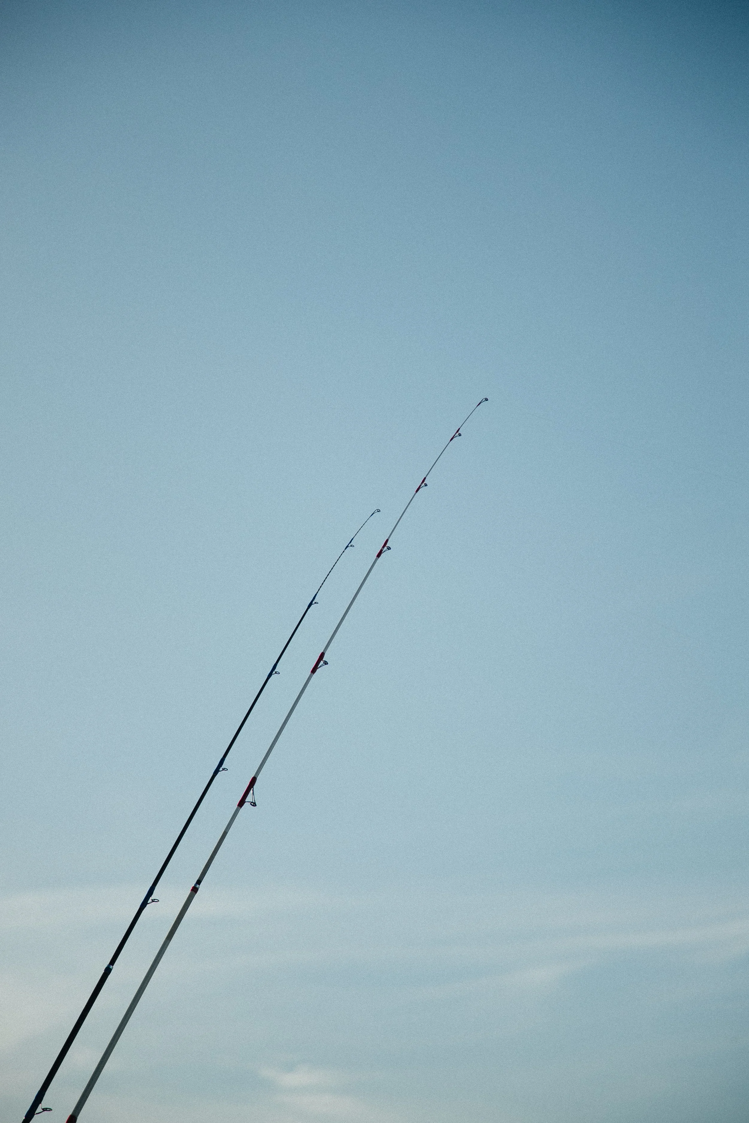 Two fishing rods held upright against a clear sky.
