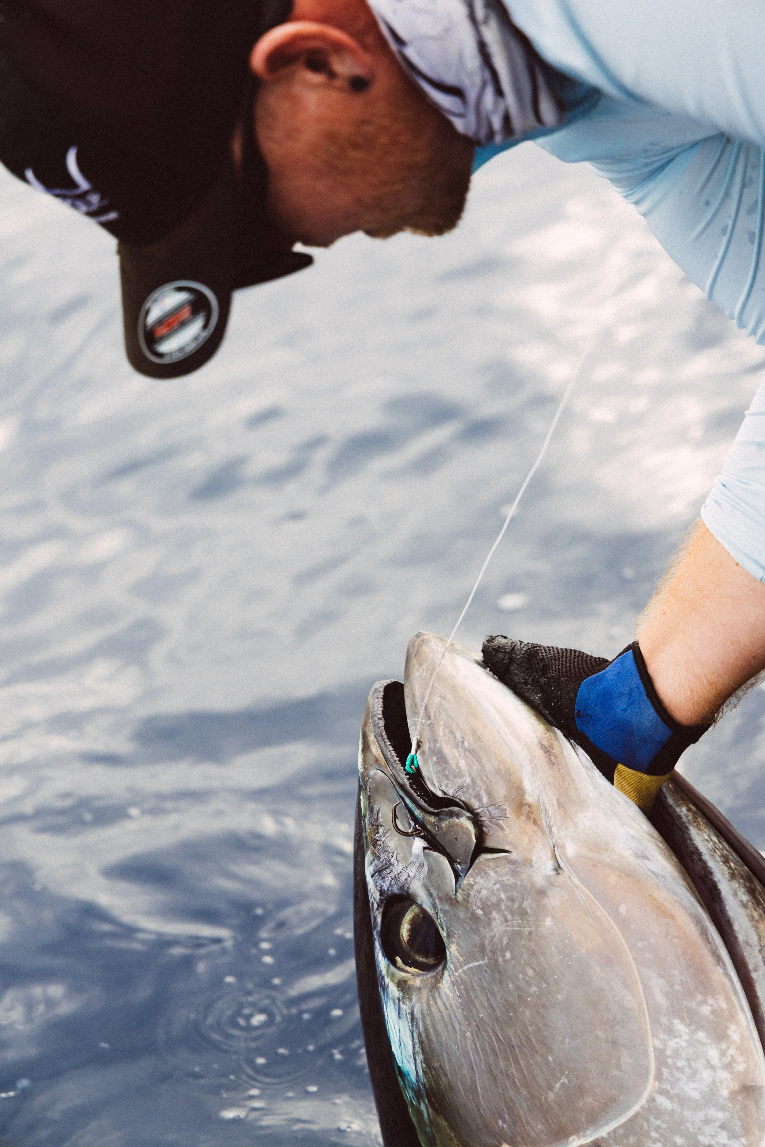 20260908_Mustad_ChasingBlue_911.jpg