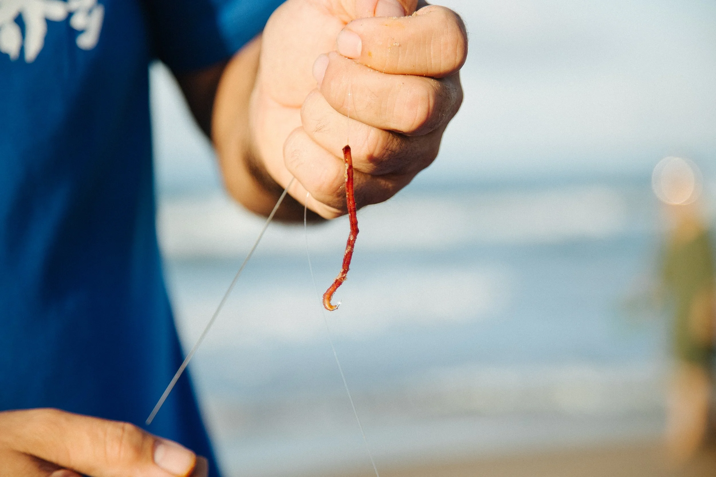 A person's hand holding a small red fishing worm on a fishing hook over a beach background.