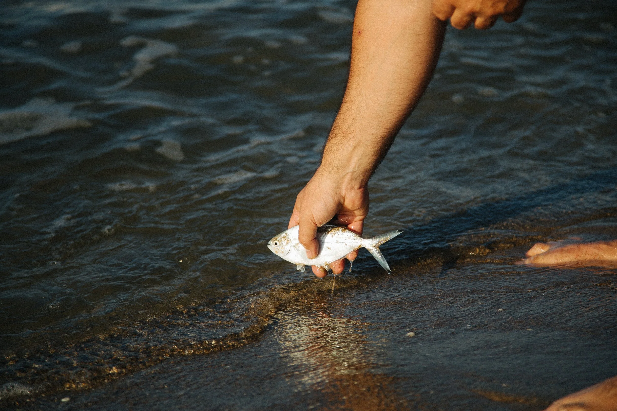 Person holding a small fish in their hand at the water's edge on a sandy beach.