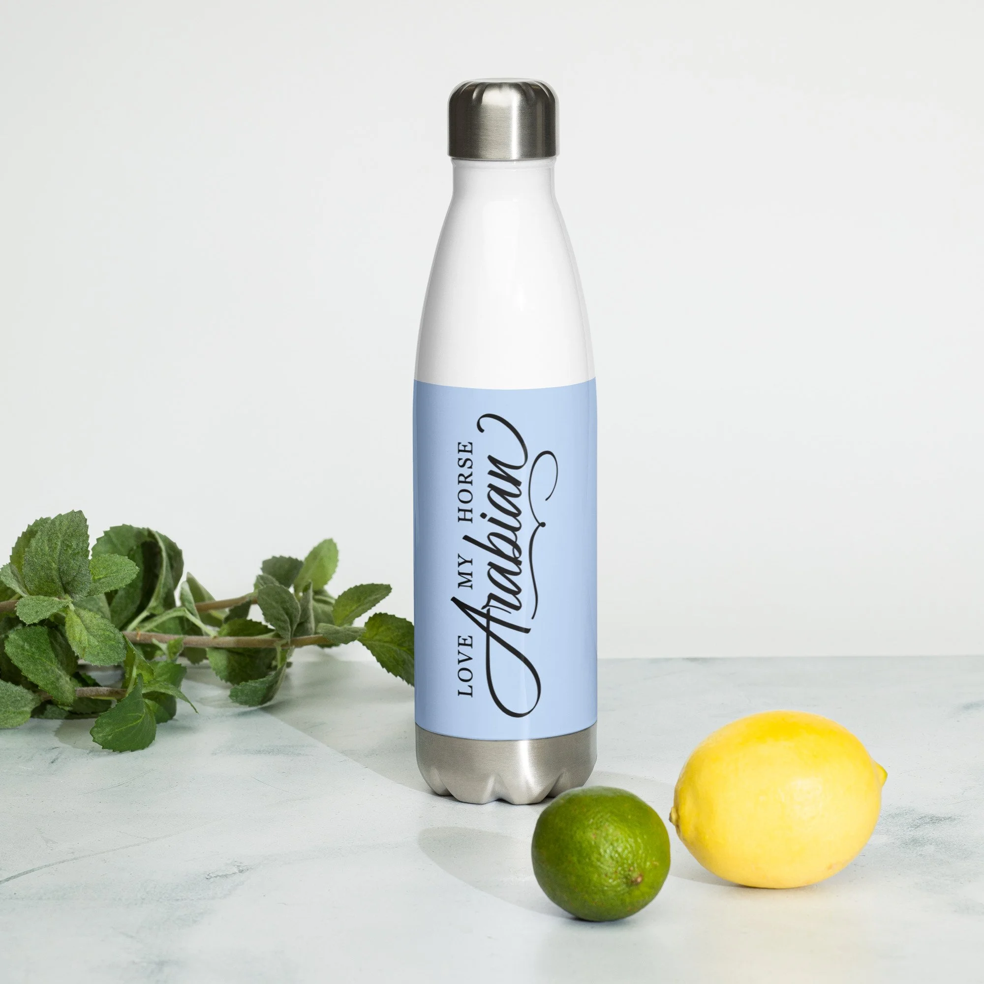 stainless-steel-water-bottle-white-17oz-front-2-63bdc437178fb.jpg
