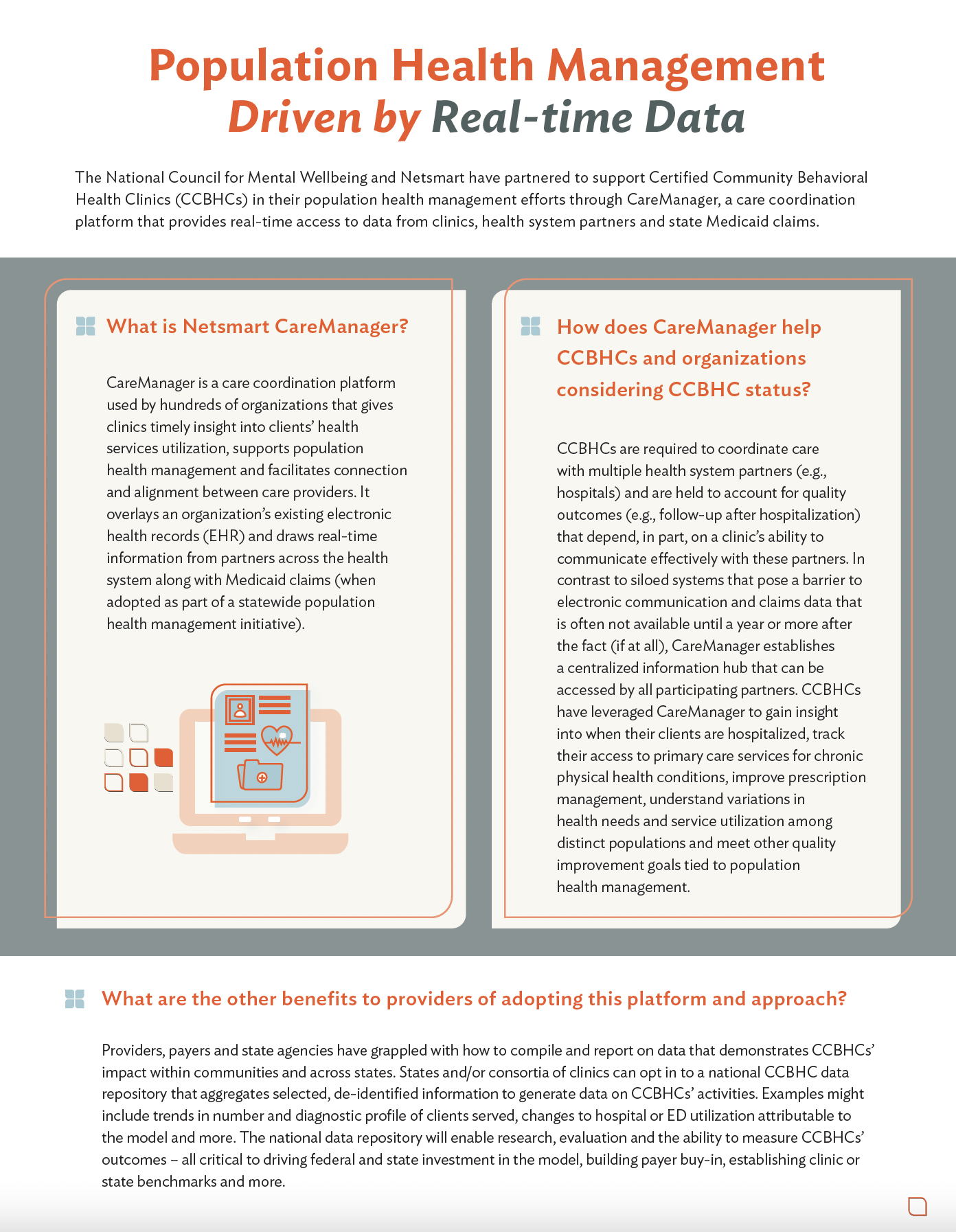 Netsmart Flyer 01.png