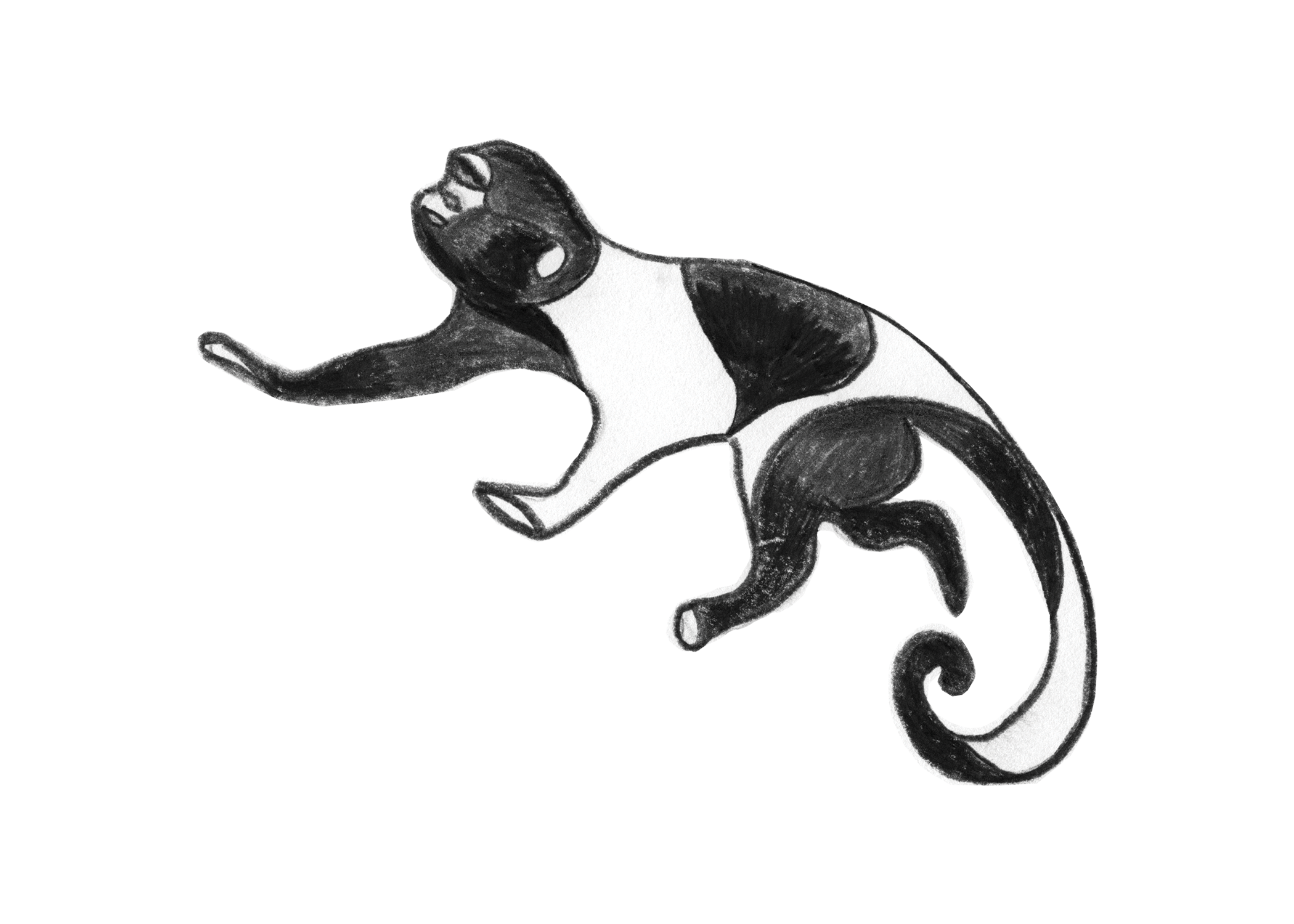 Monkey_01.png