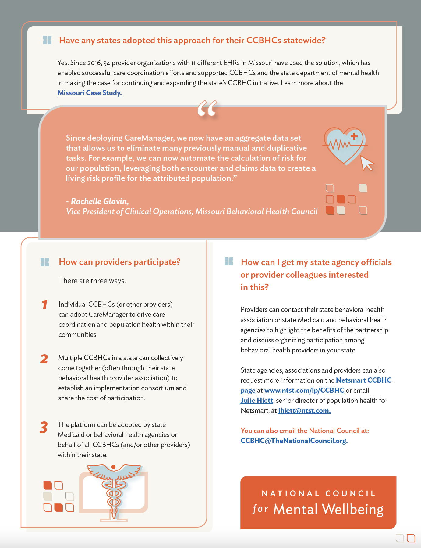 Netsmart Flyer 02.png