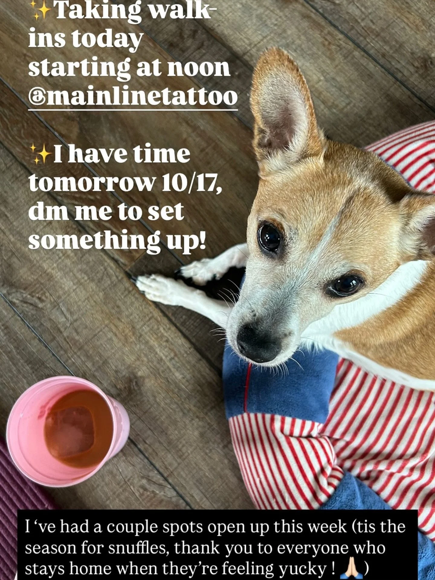 Looking for a new tattoo? @foofytattoo has got you covered! She&rsquo;s taking walk-ins today and has a spot open tomorrow &mdash; message her to grab it before it&rsquo;s gone! 💥