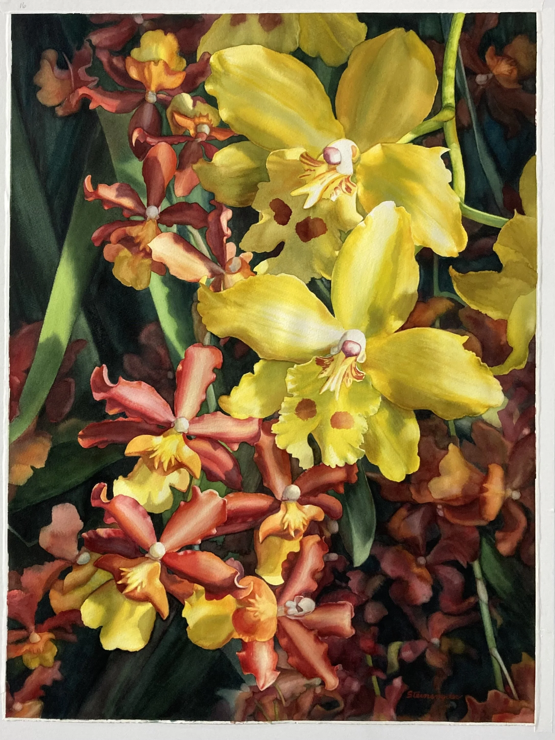 Watercolor 2 Bonnie Steinsnyder.jpg