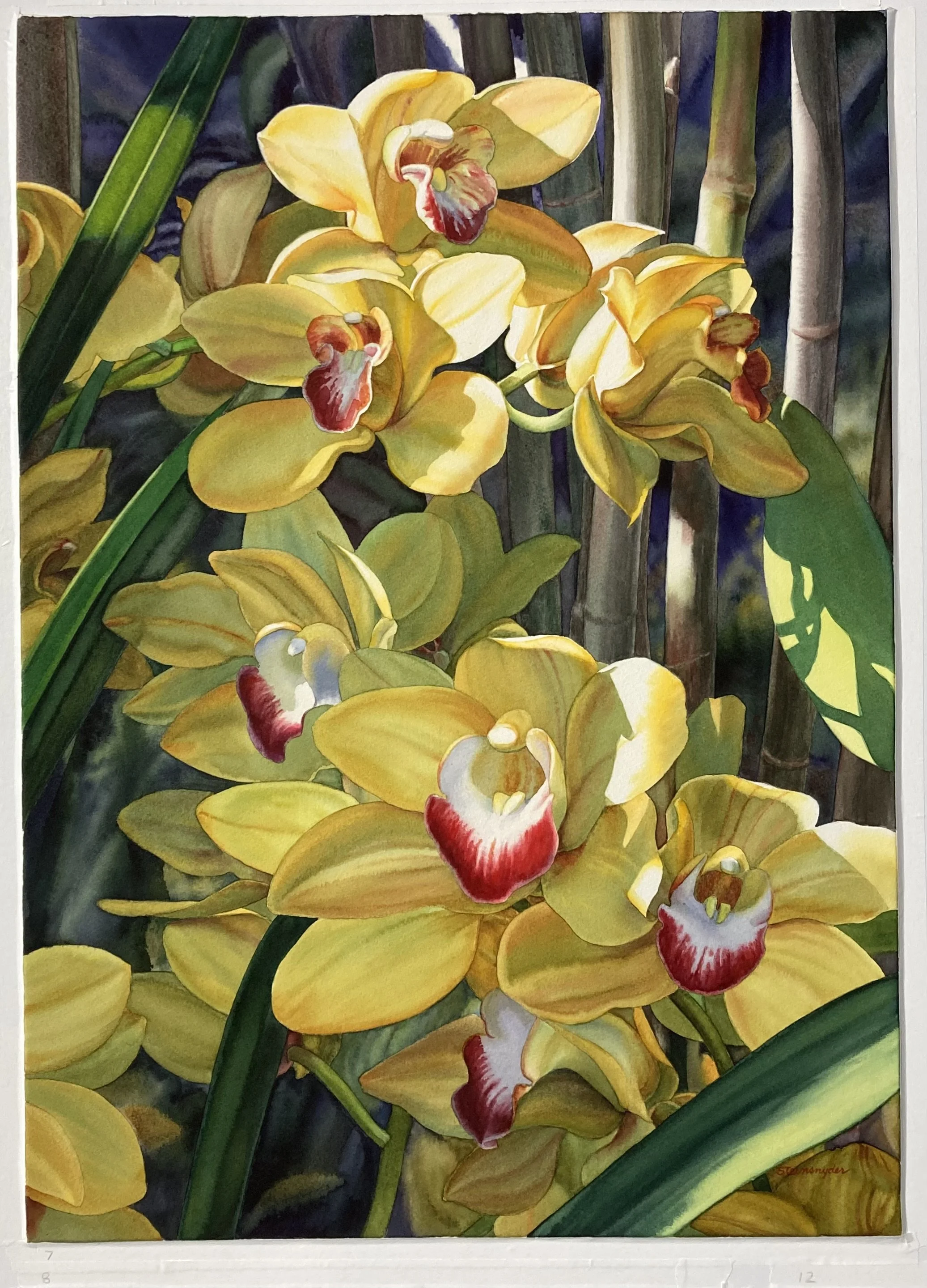 Watercolor 1 Bonnie Steinsnyder.jpg