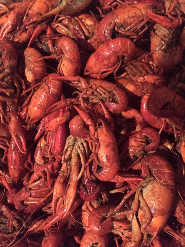 BOILED CRAWFISH (seasonal)