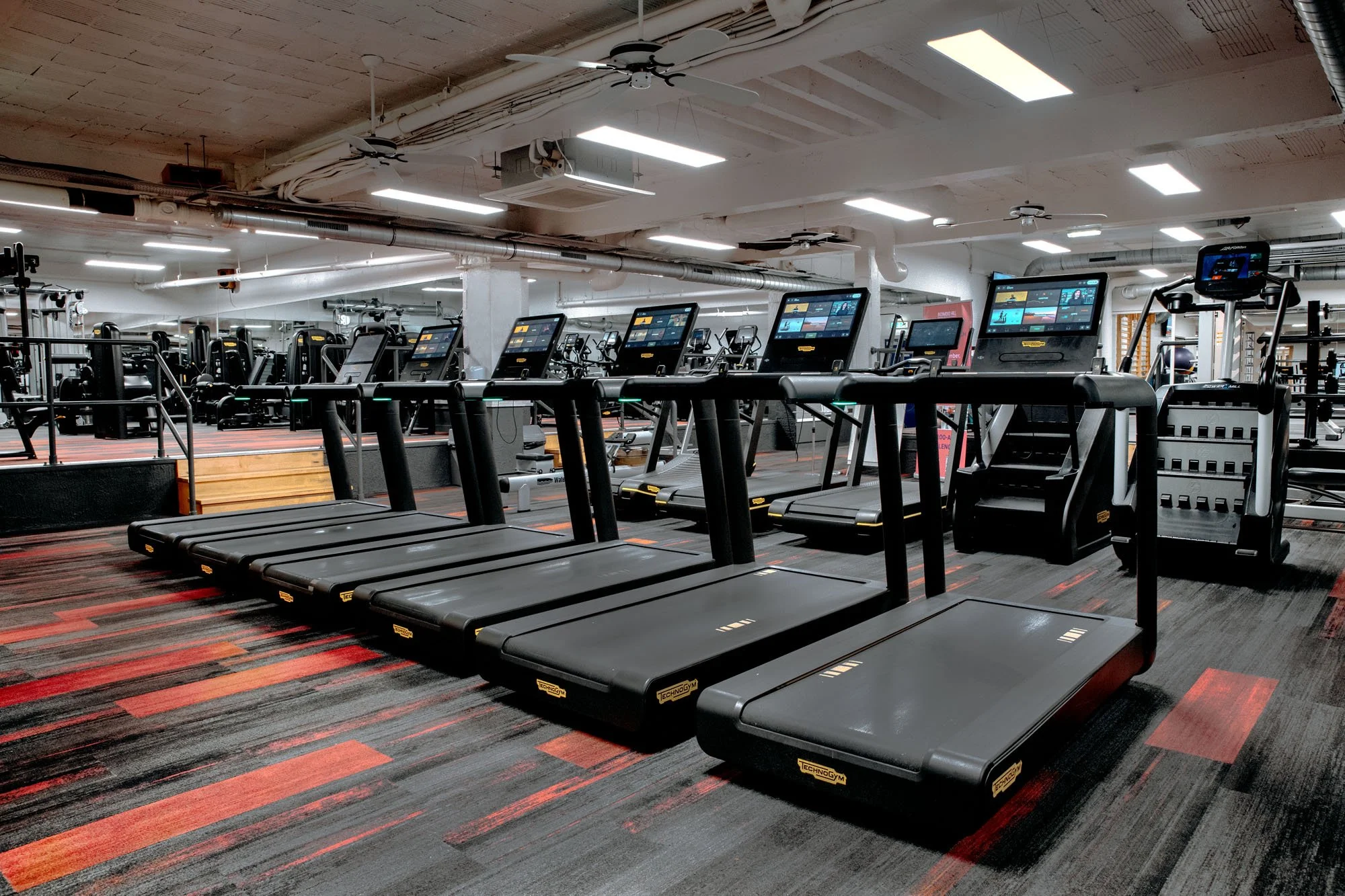 People working out on cardio machines in a gym with red and black carpet, white walls, and overhead lighting.