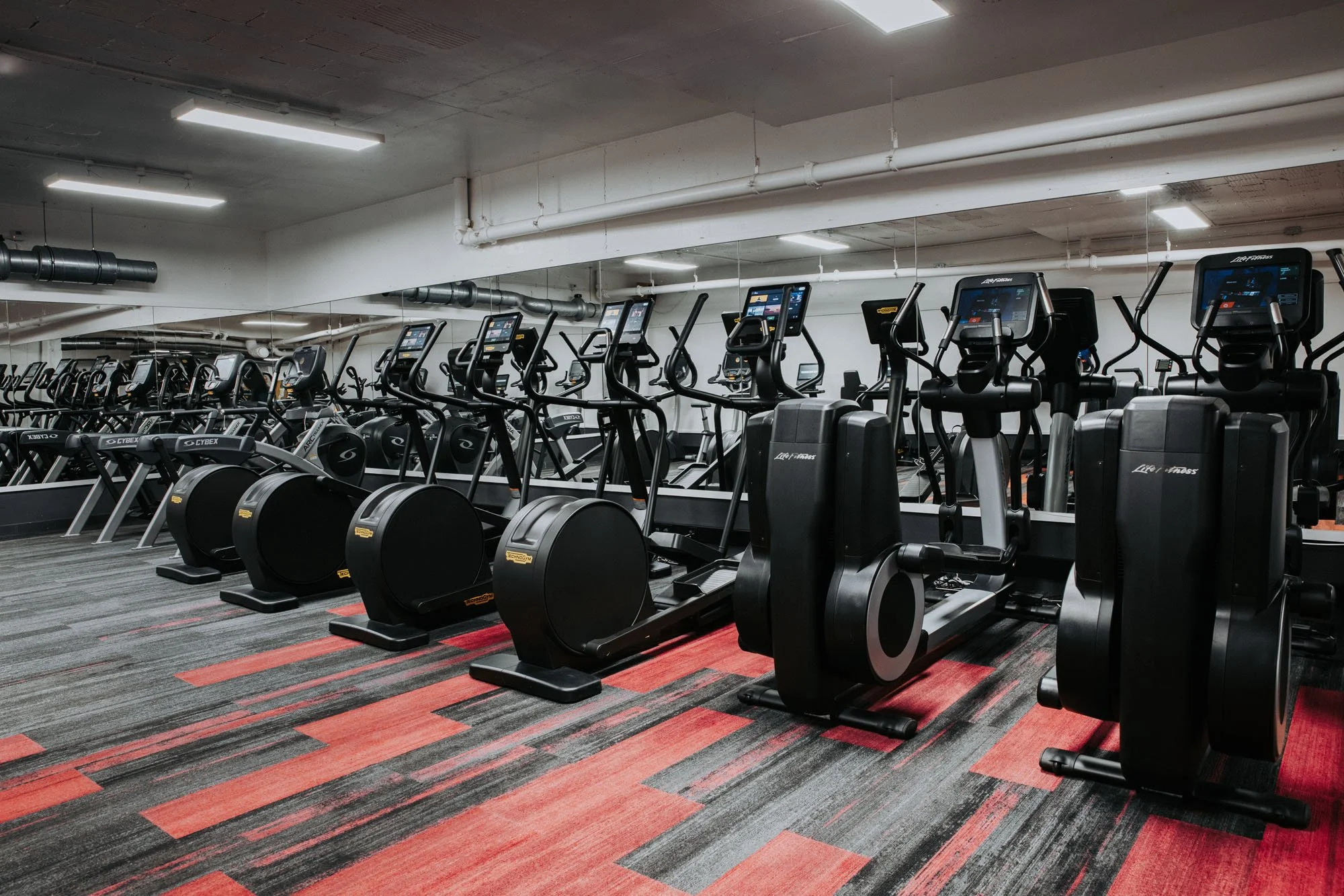 People working out on cardio machines in a gym with red and black carpet, white walls, and overhead lighting.