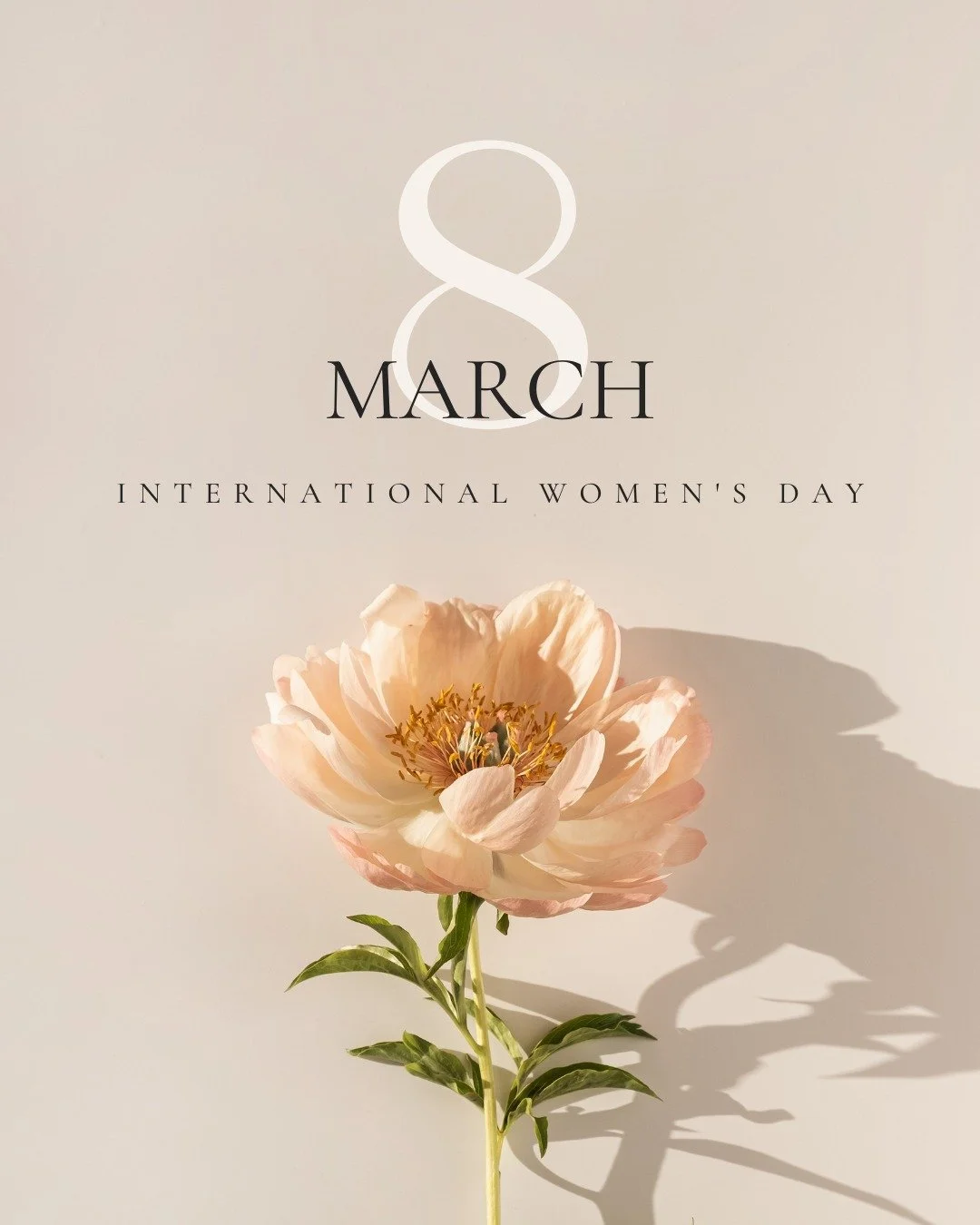 Wishing a very Happy Women's Day to the strong, intelligent, talented and extraordinary women in this world. 💌

 #internationalwomens #internationalwomensday
