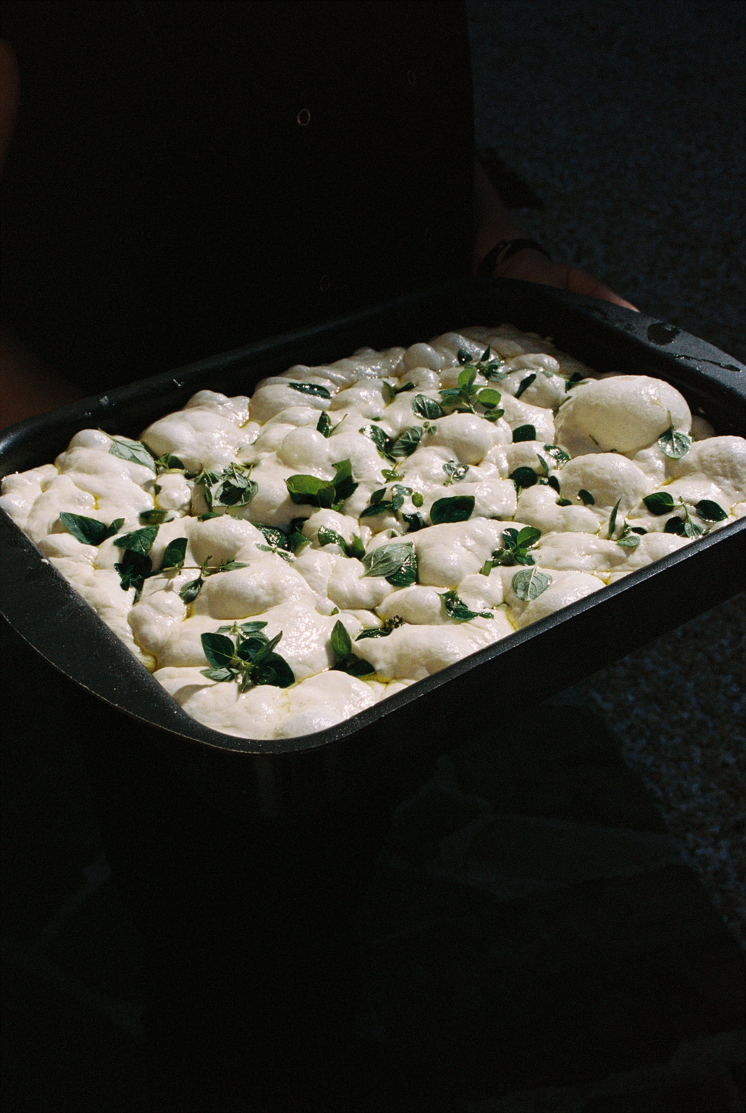 Saskia Morley-Sage R1-07561-008A.JPG