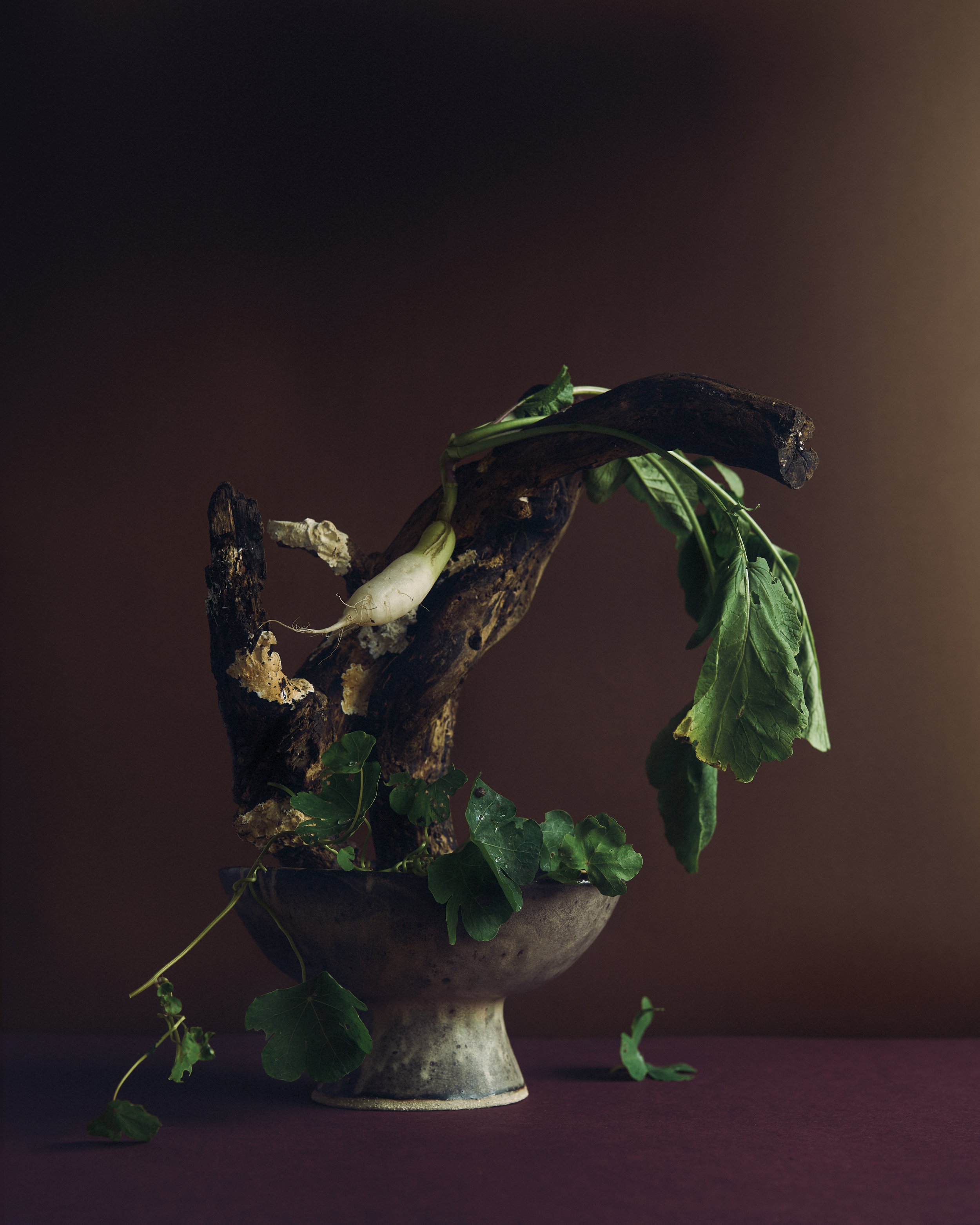 A collaboration with WTLF magazine