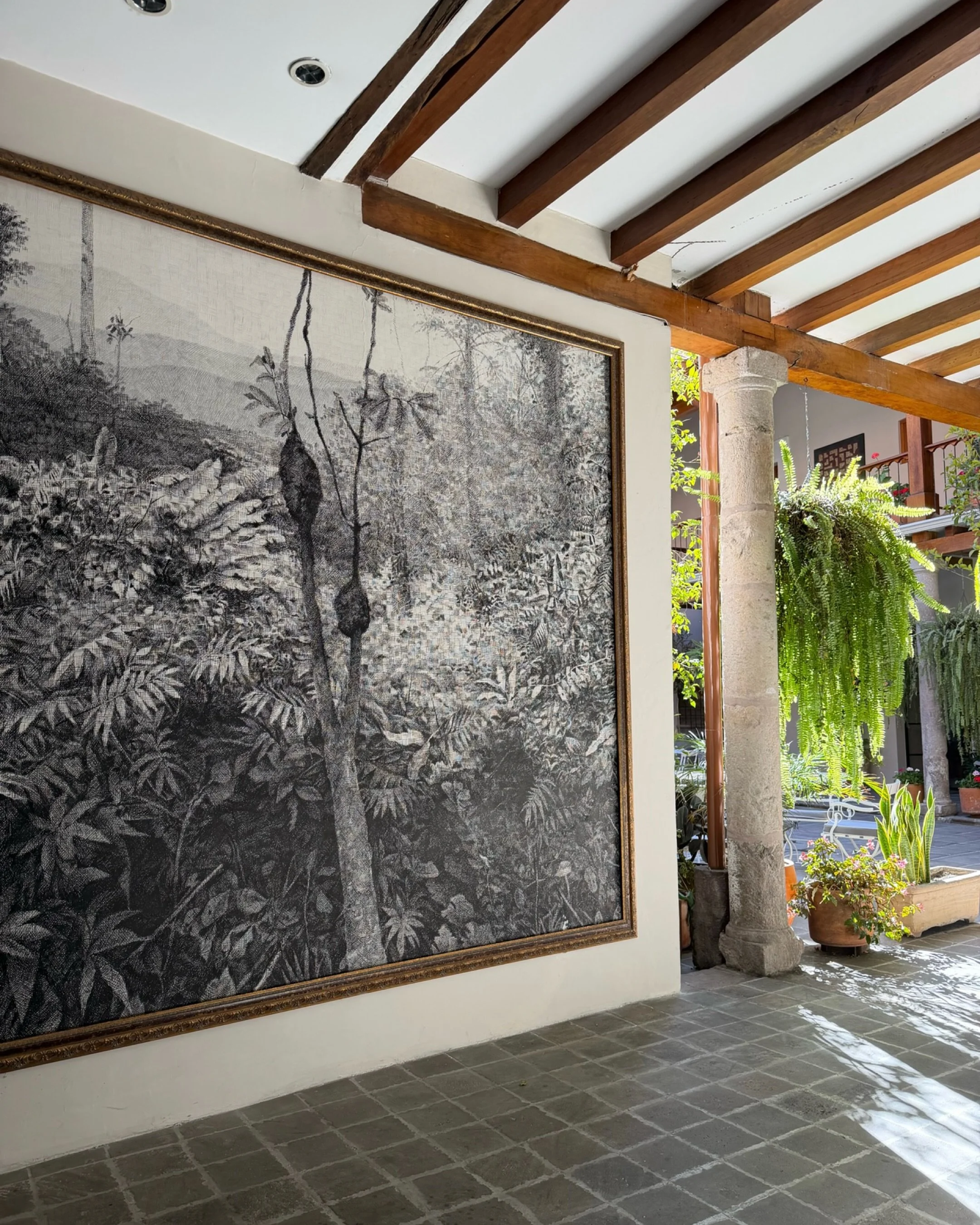 Ecuador gave us contrast.

Modern mixed with old Quito facades, volcanic rock, terracotta, brass, and the wild, organic textures of the Gal&aacute;pagos. 

The artwork and architecture were playful, unique, and warm &mdash; exactly the kind of palett