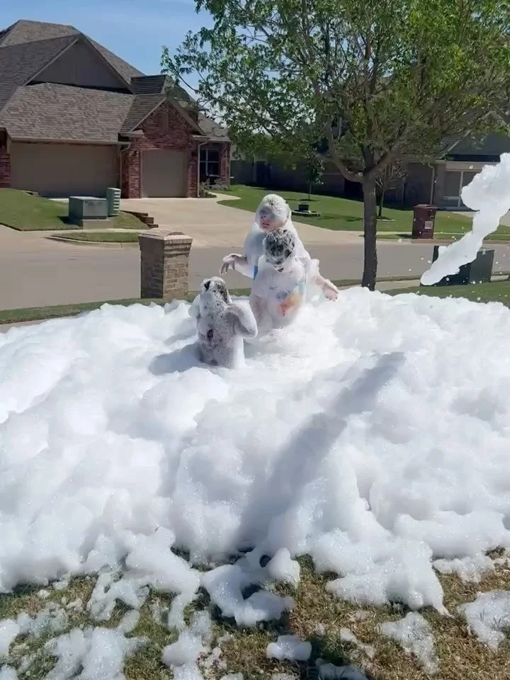 Highly recommend a bubble foam cannon. 10/10.