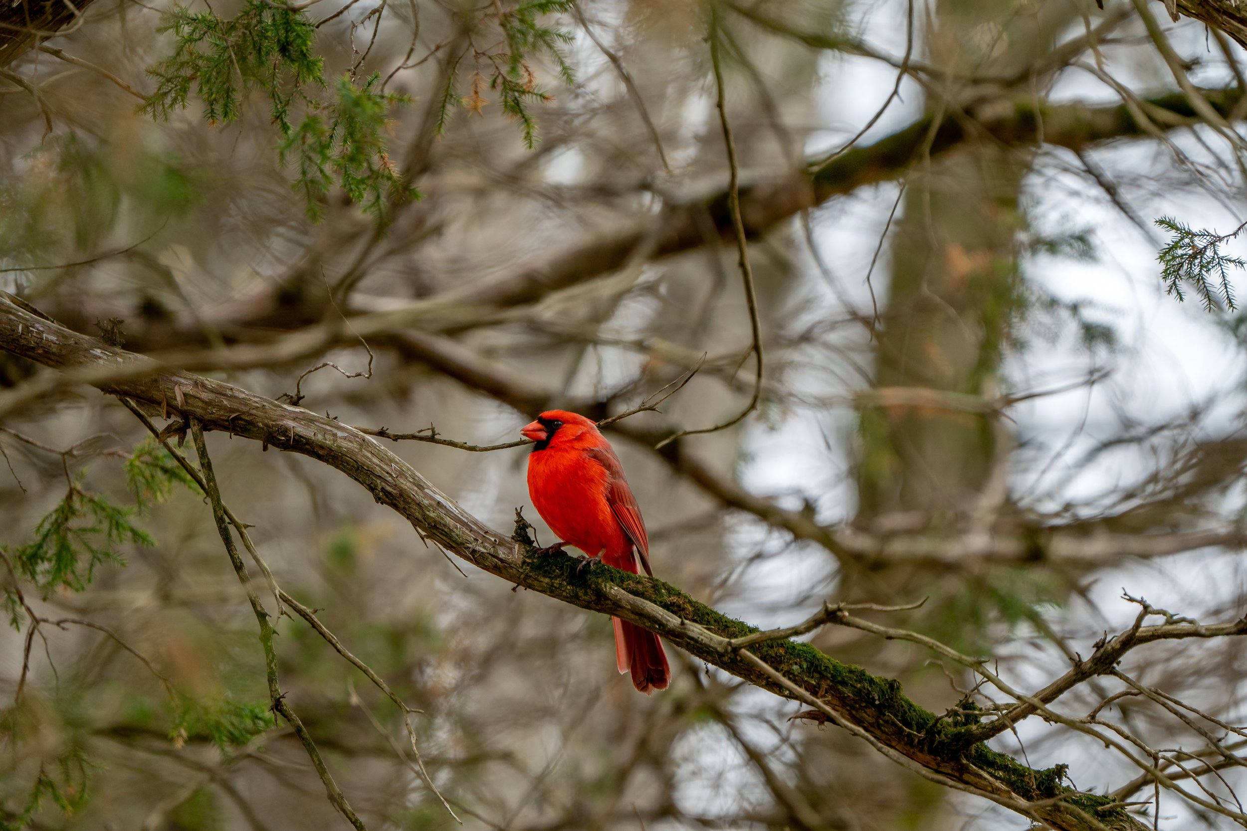  Make your voice heard on   CONSERVATION AND CLIMATE    Harness Your Power  