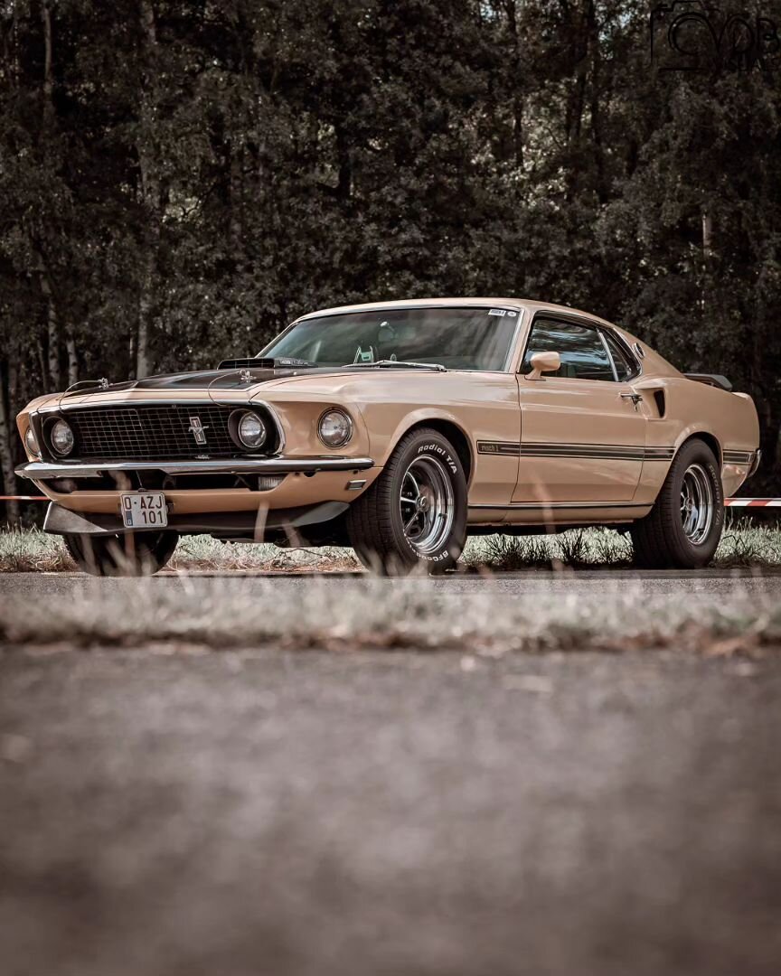 Can't go wrong with some muscles 💪

#car #ford #muscle #oldtimer #moody #instagram #picture #picoftheday #cars #carphotography #classiccar #carsofinstagram