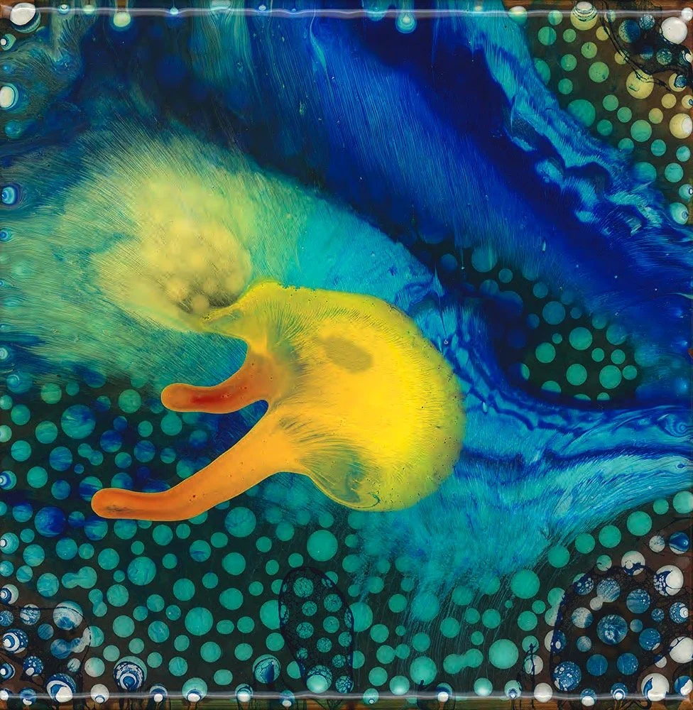 Rapids   |  2005 - 2019    |     29.85 cm x 29.85 cm, 11.75” x 11.75”  |    details