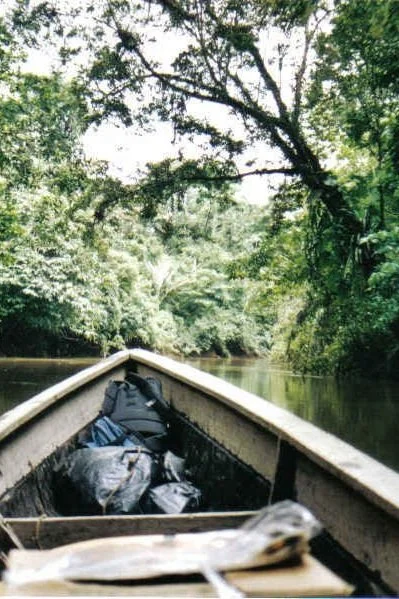 selva+cuyabeno.jpg
