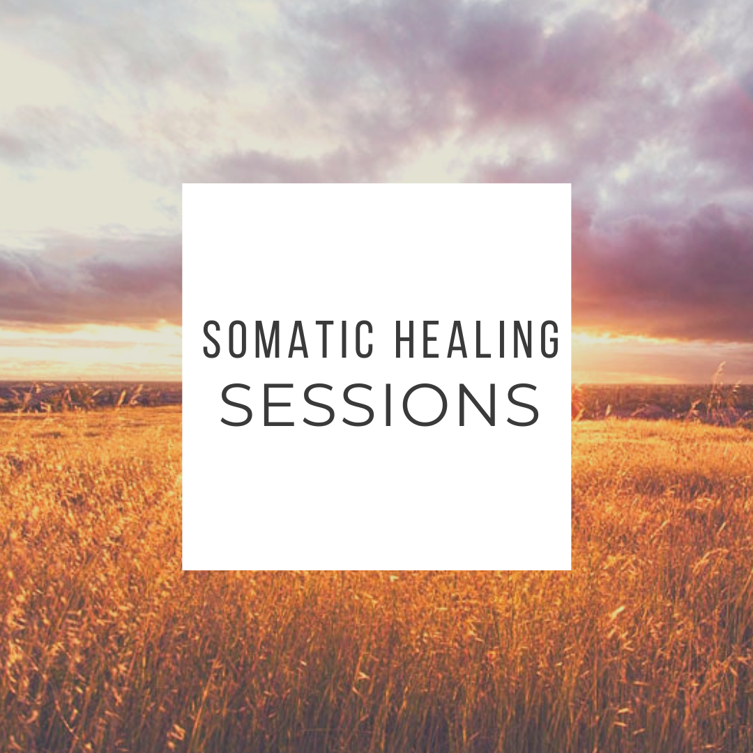 1:1 Somatic Healing Session