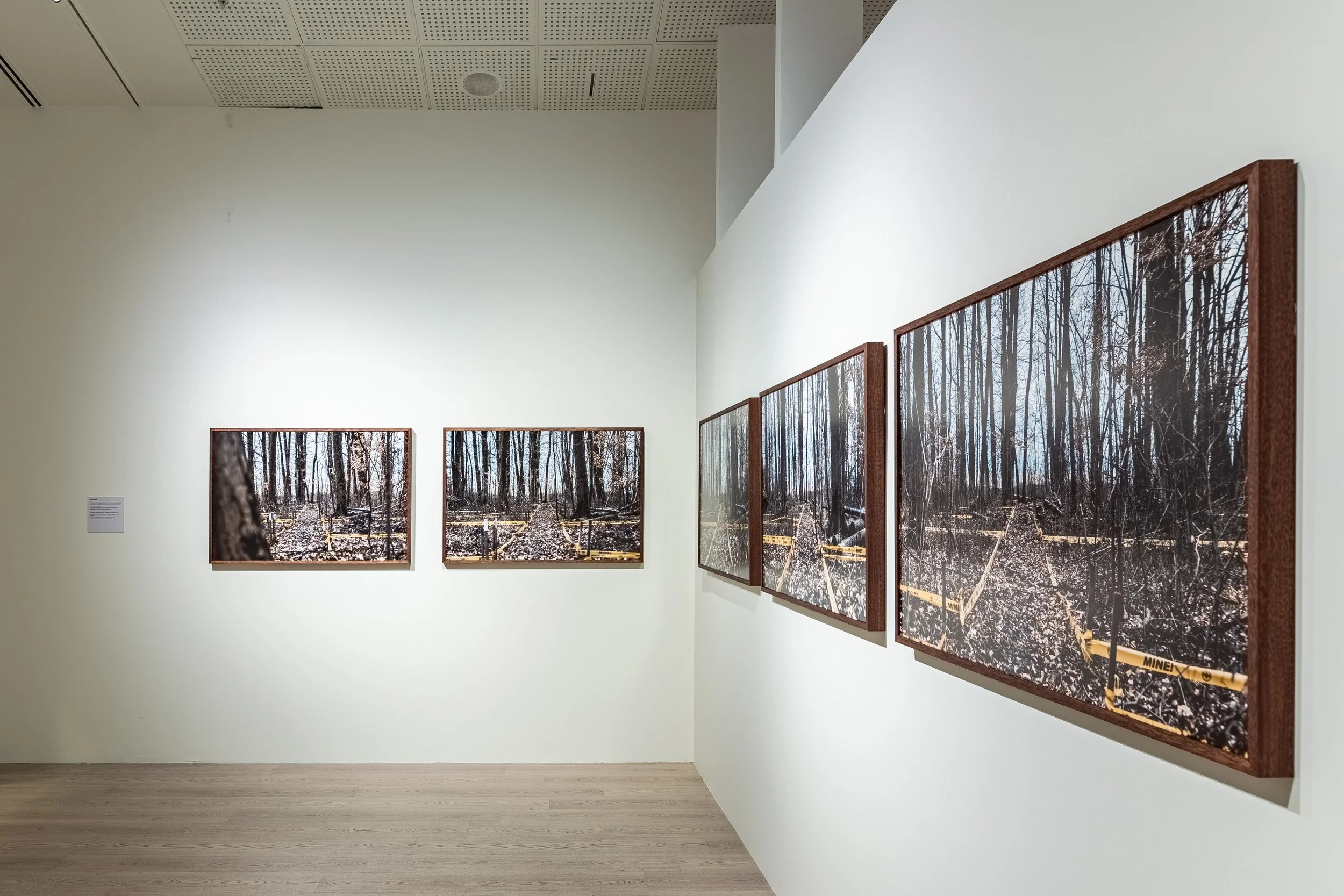 Bosnian Series, 17th Istanbul Biennial, 2022